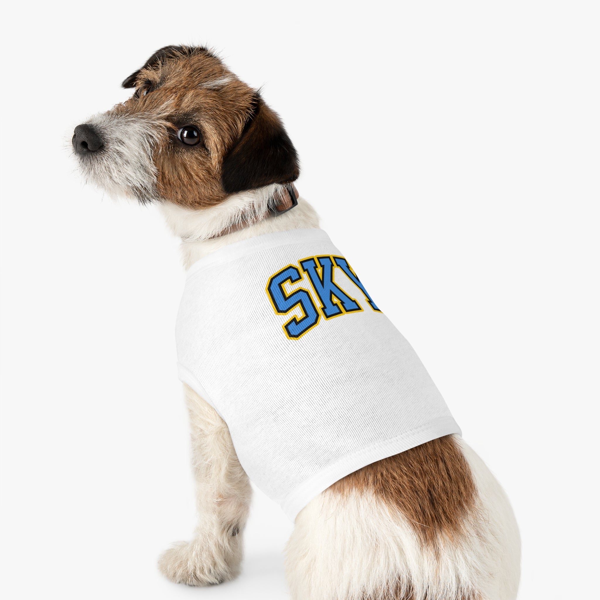 Chicago Sky Dog Sweater | Chix Sports