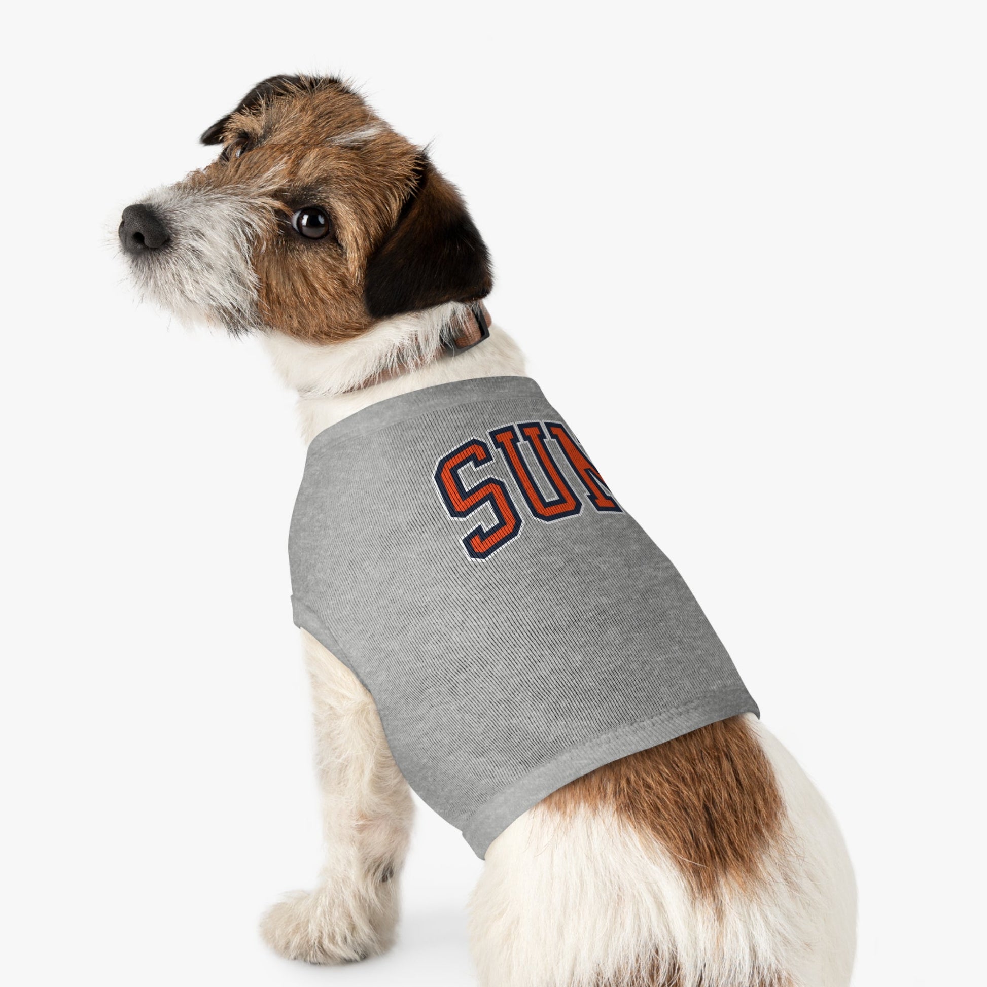 Connecticut Sun Dog Sweater | Chix Sports