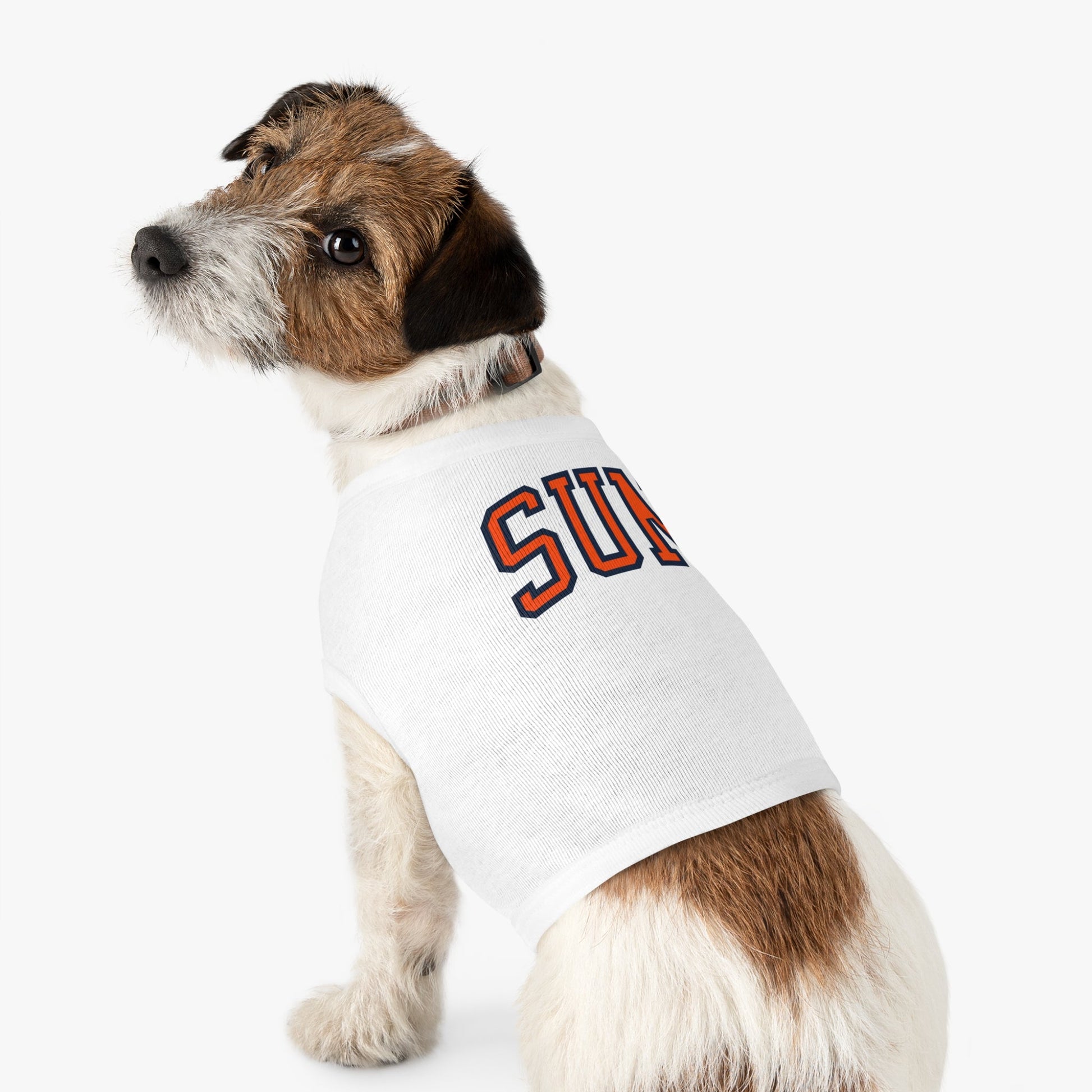 Connecticut Sun Dog Sweater | Chix Sports