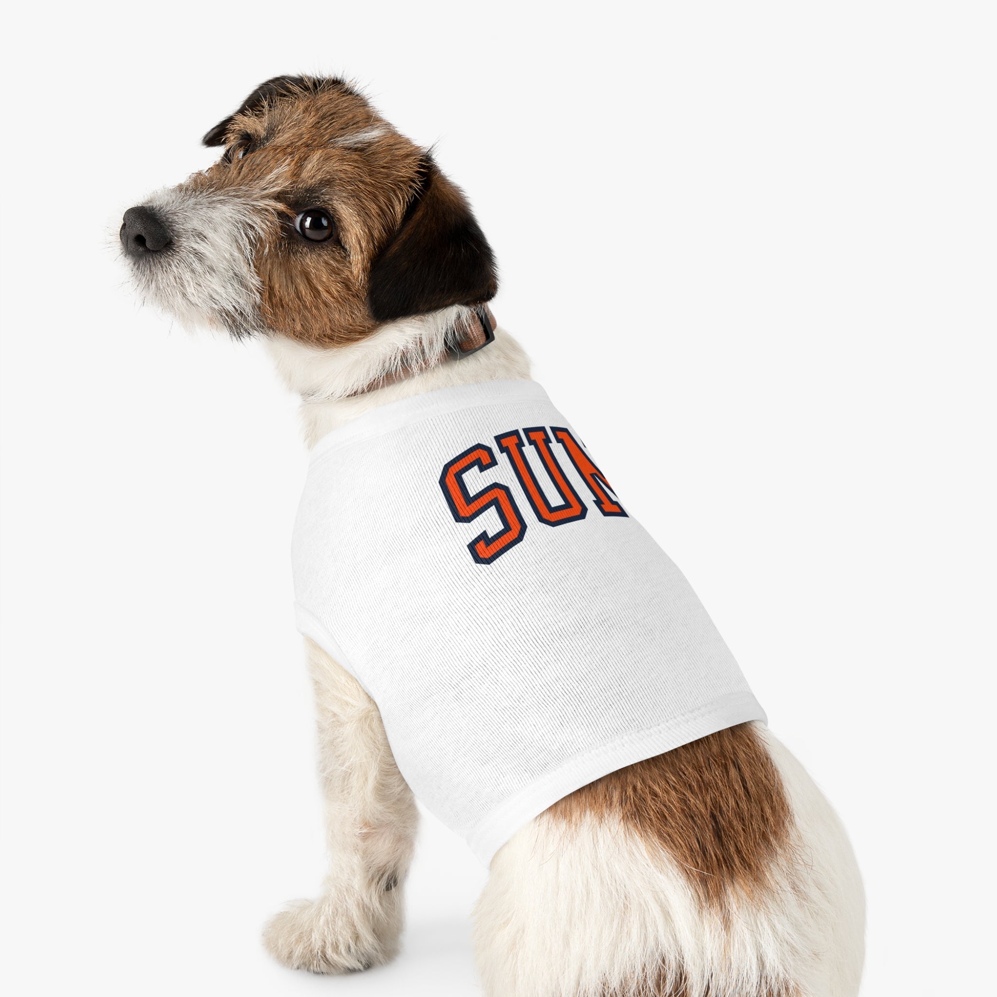 Connecticut Sun Dog Sweater | Chix Sports