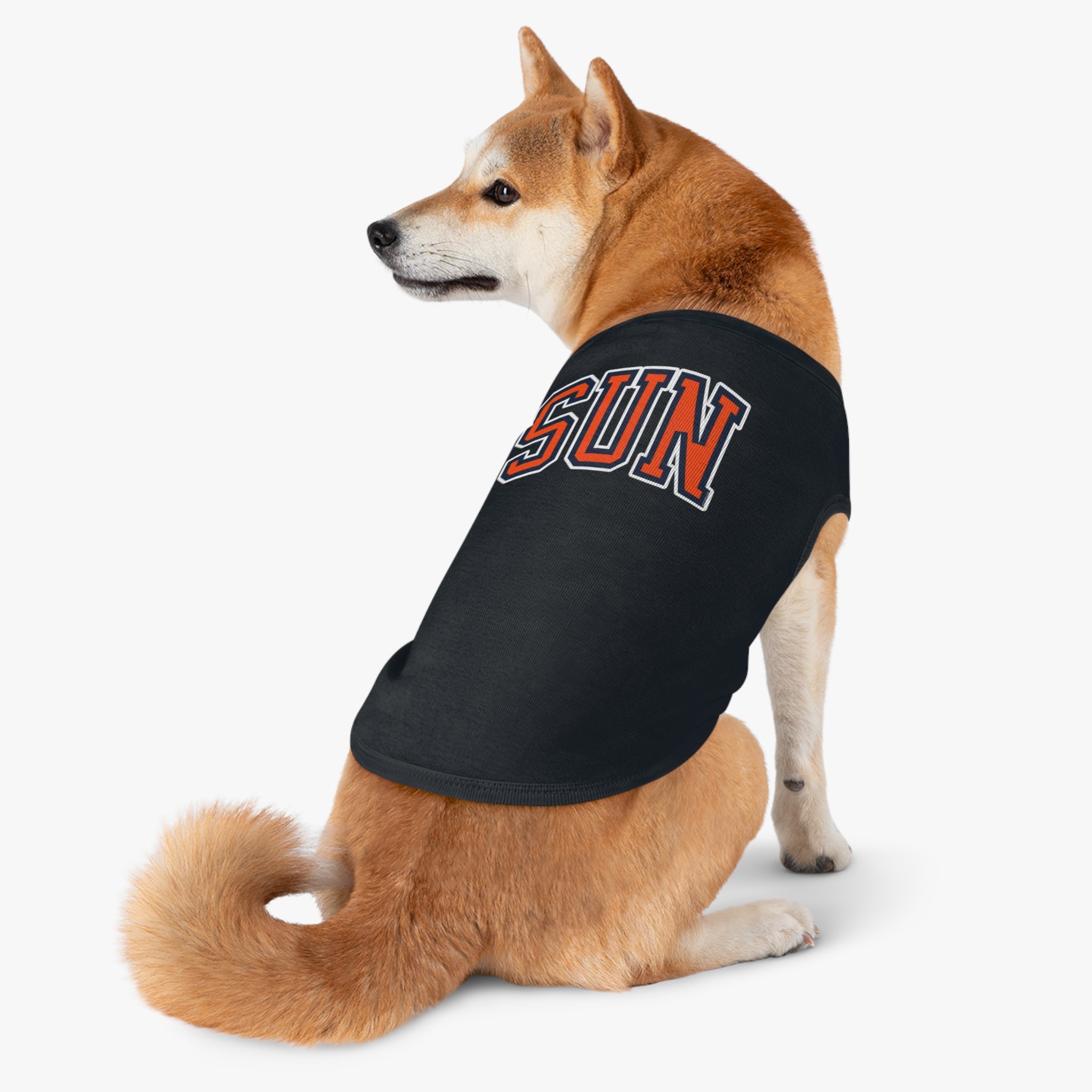 Connecticut Sun Dog Sweater | Chix Sports