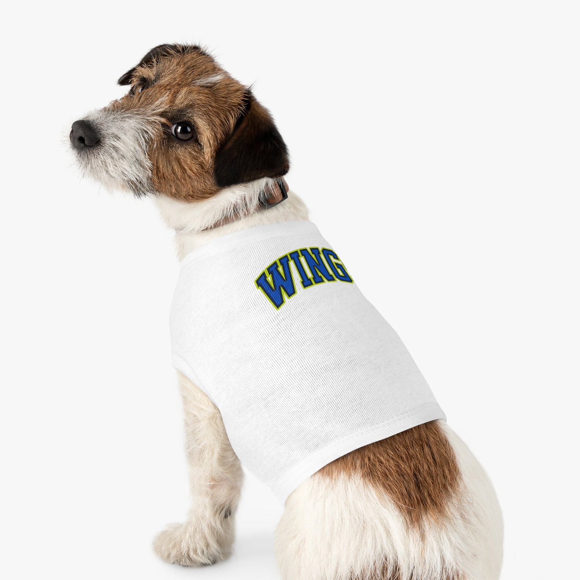 Dallas Wings Dog Sweater | Chix Sports