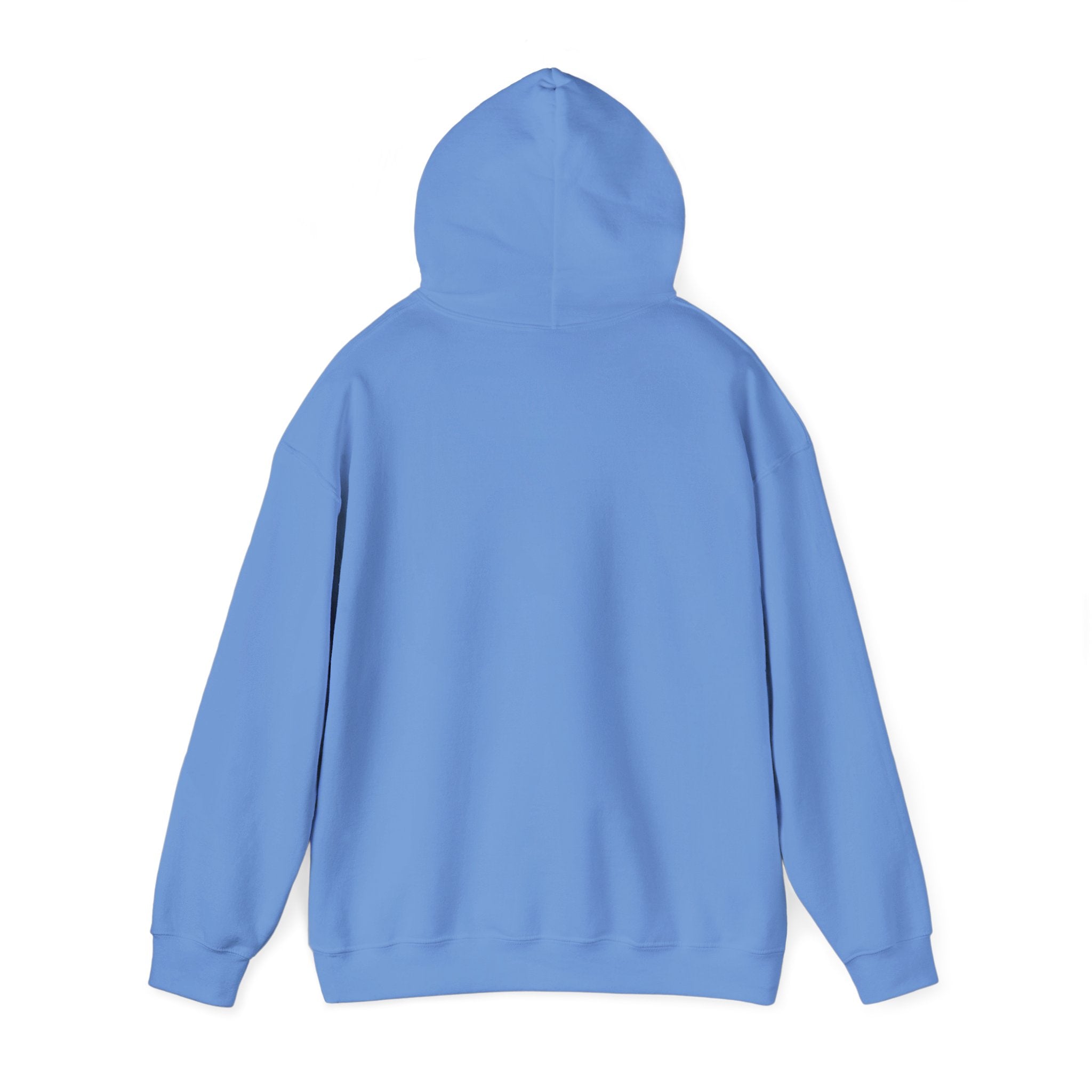 Dash Soccer Unisex Heavy Hoodie | Chix Sports