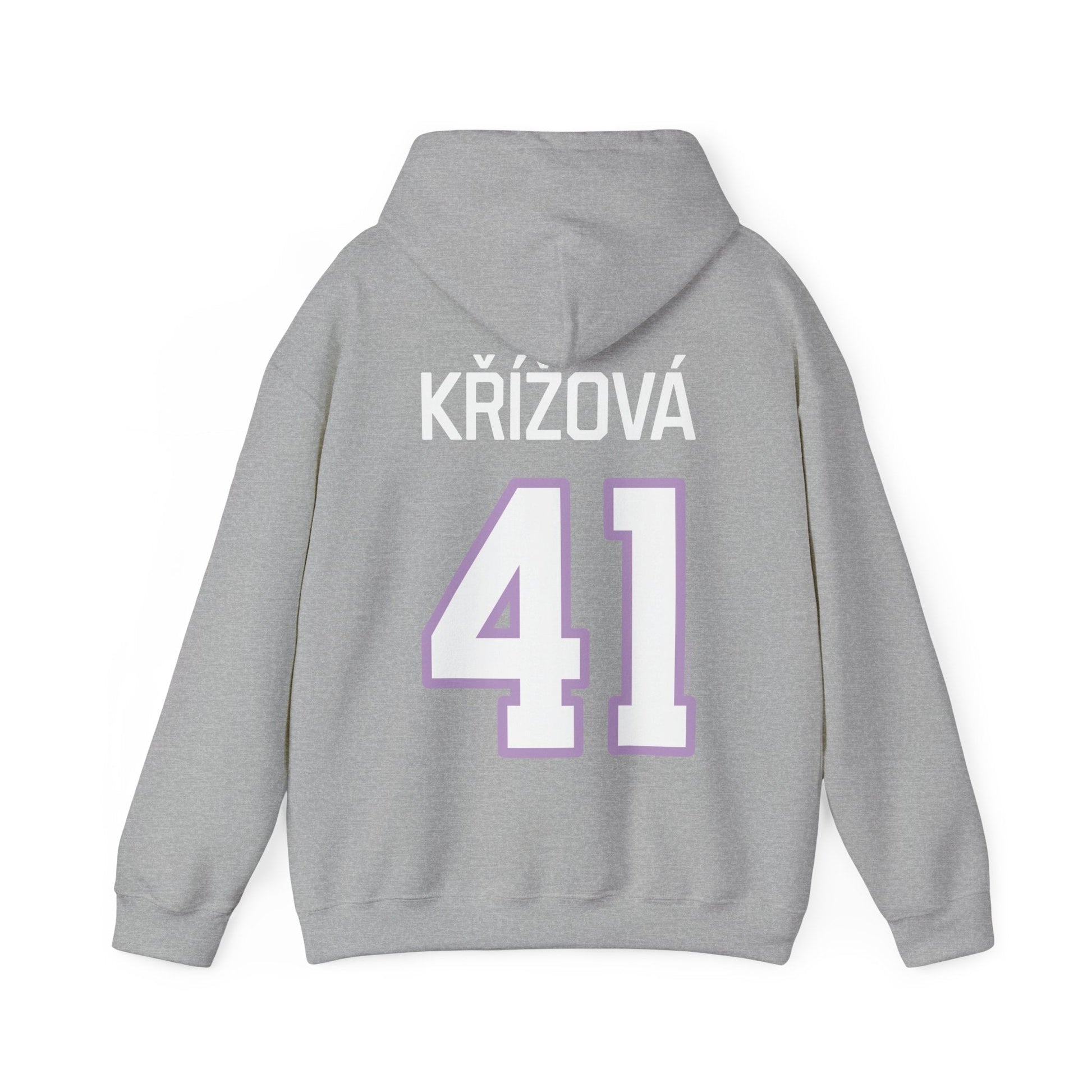 Denisa Krizova Frost Unisex Hoodie (no sleeve print) | Chix Sports