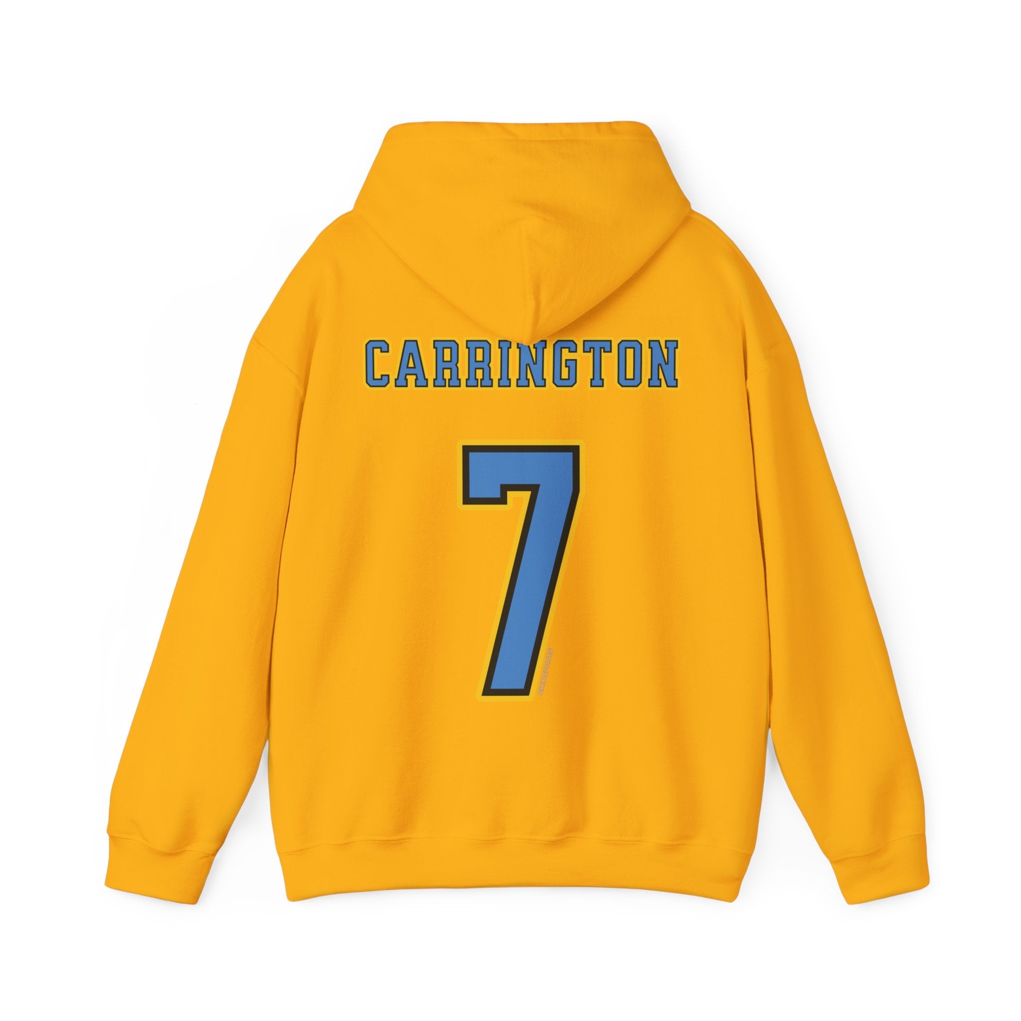 DiJonai Carrington Sky Unisex Jersey Hoodie | Chix Sports