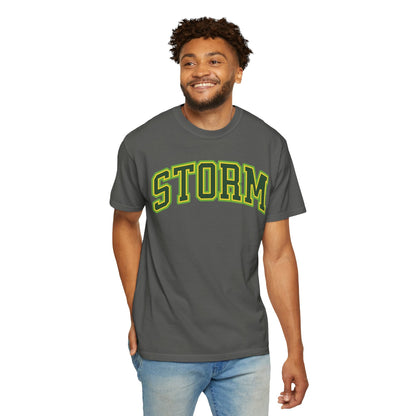 Dominique Malonga Storm Premium Shirt | Chix Sports