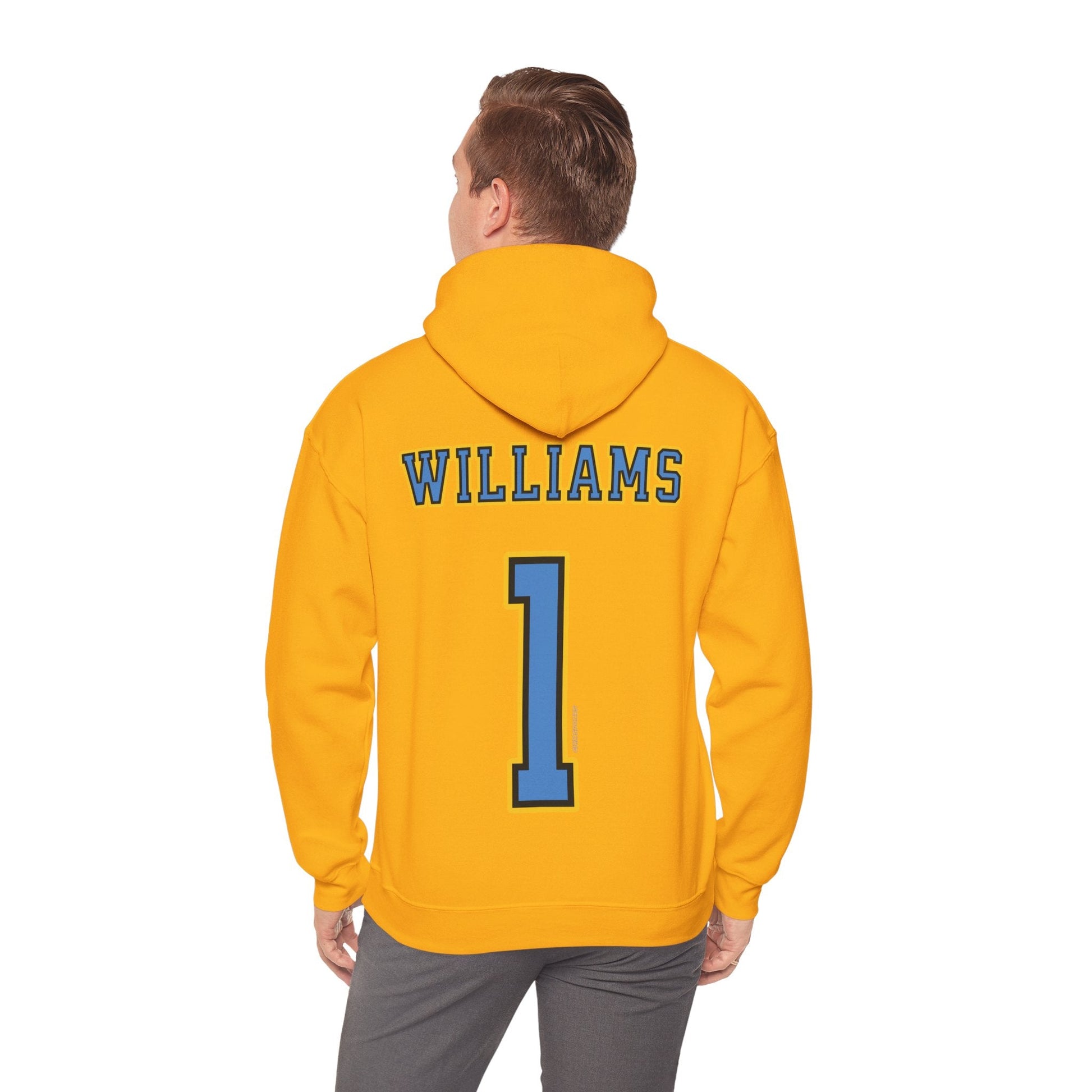 Elizabeth Williams Sky Unisex Jersey Hoodie | Chix Sports