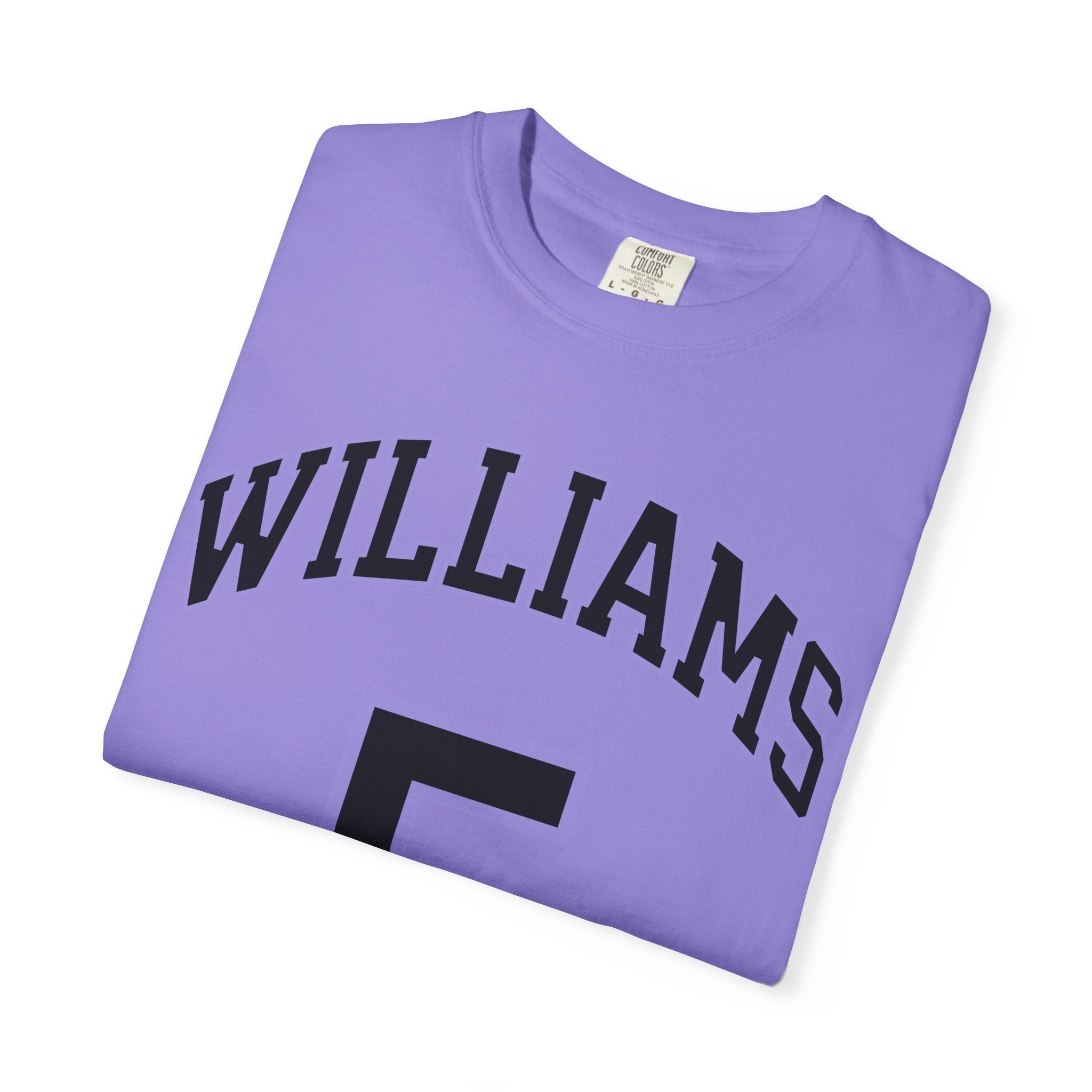 Gabby Williams Valkyries Premium Unisex Shirt | Chix Sports