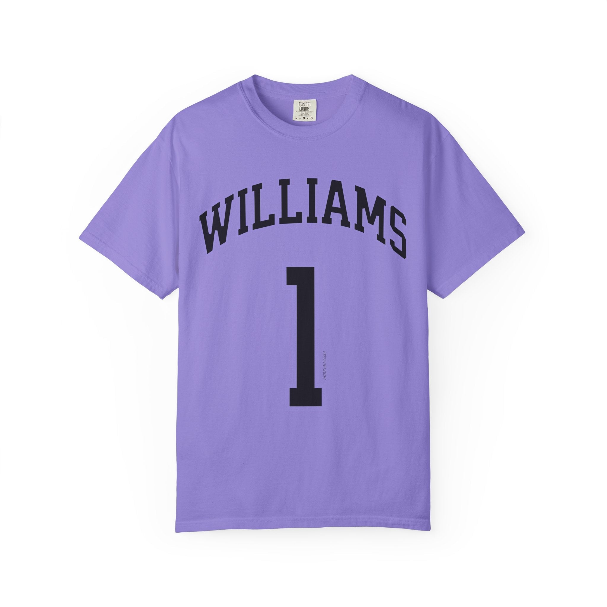 Gabby Williams Valkyries Premium Unisex Shirt | Chix Sports