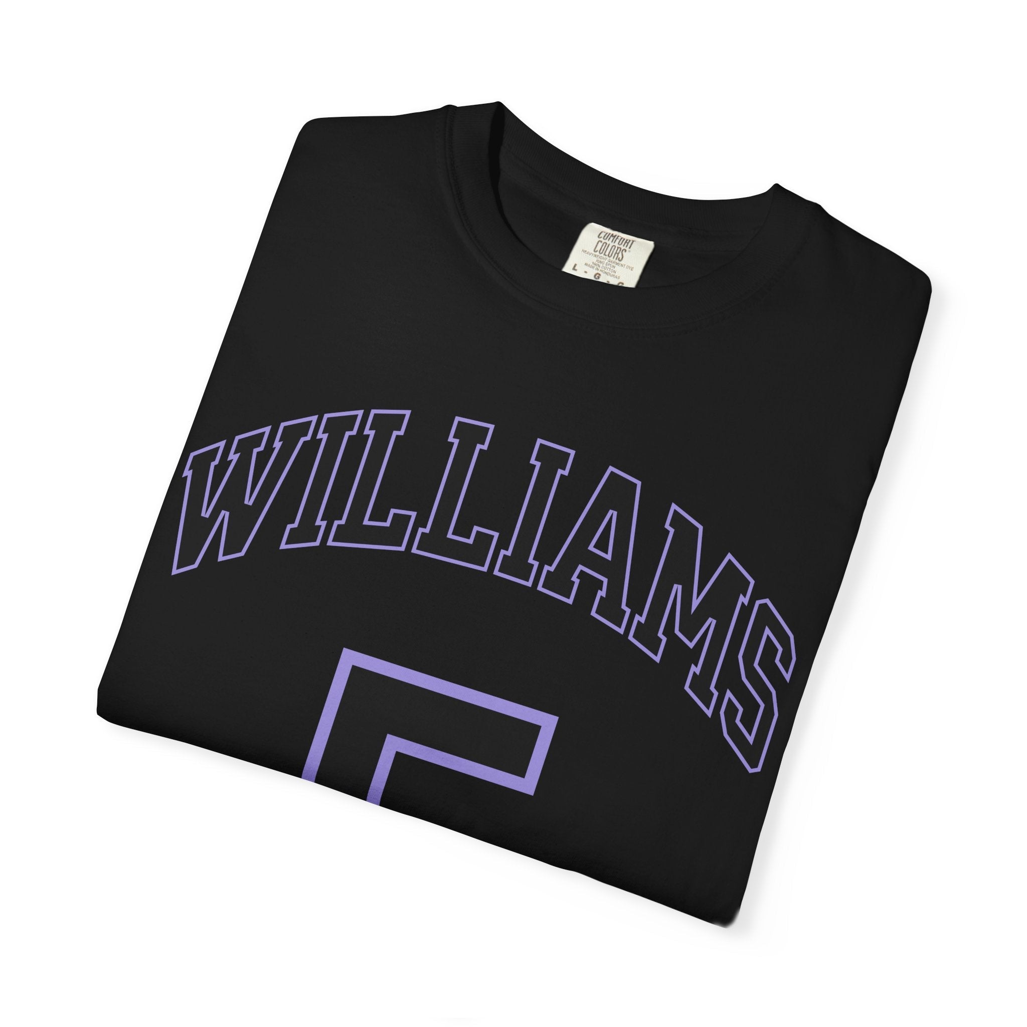 Gabby Williams Valkyries Premium Unisex Shirt | Chix Sports
