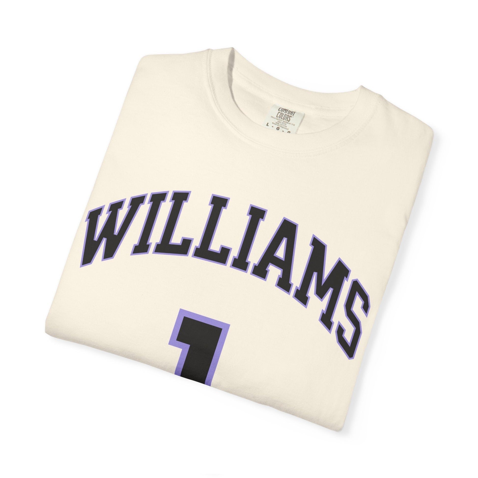 Gabby Williams Valkyries Premium Unisex Shirt | Chix Sports
