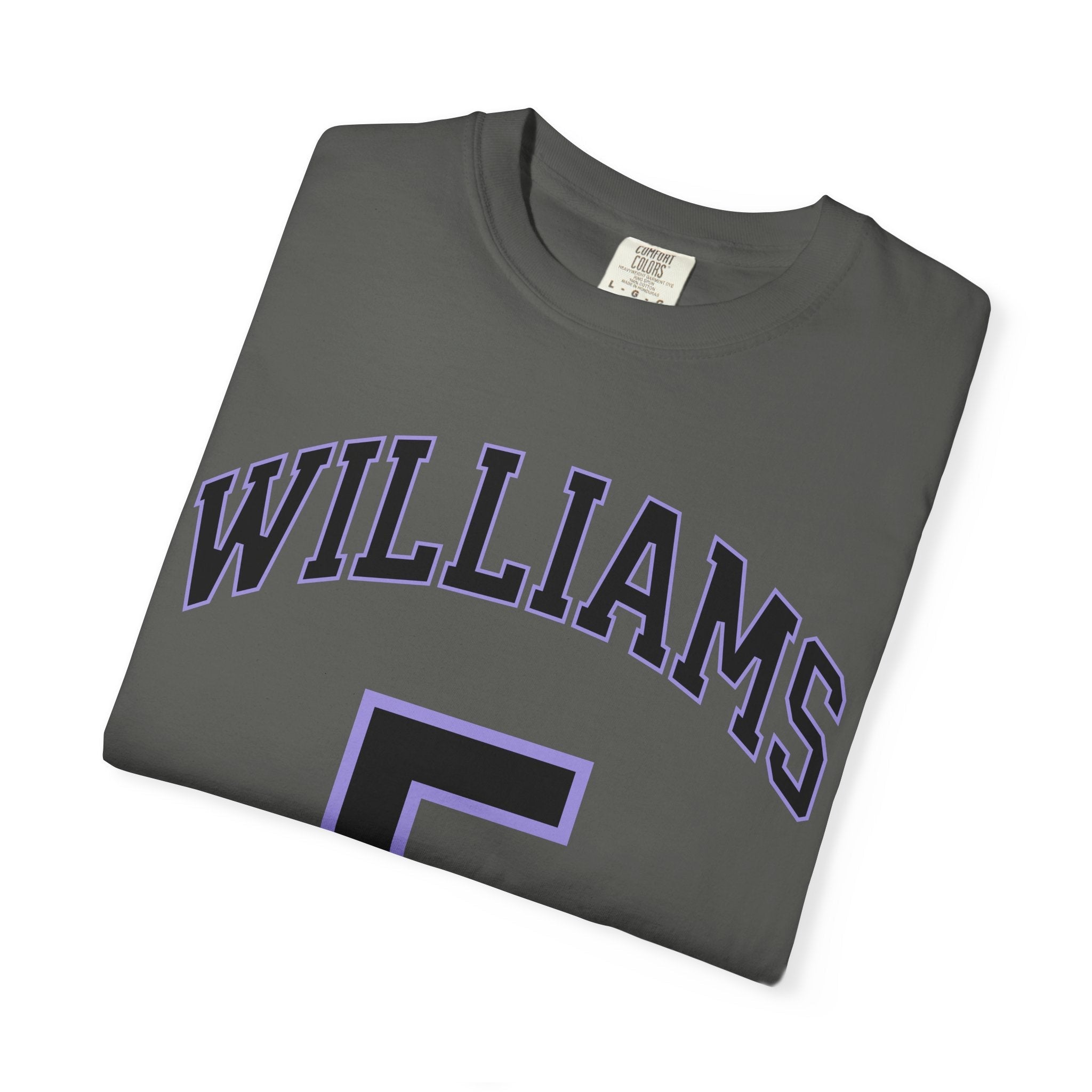 Gabby Williams Valkyries Premium Unisex Shirt | Chix Sports