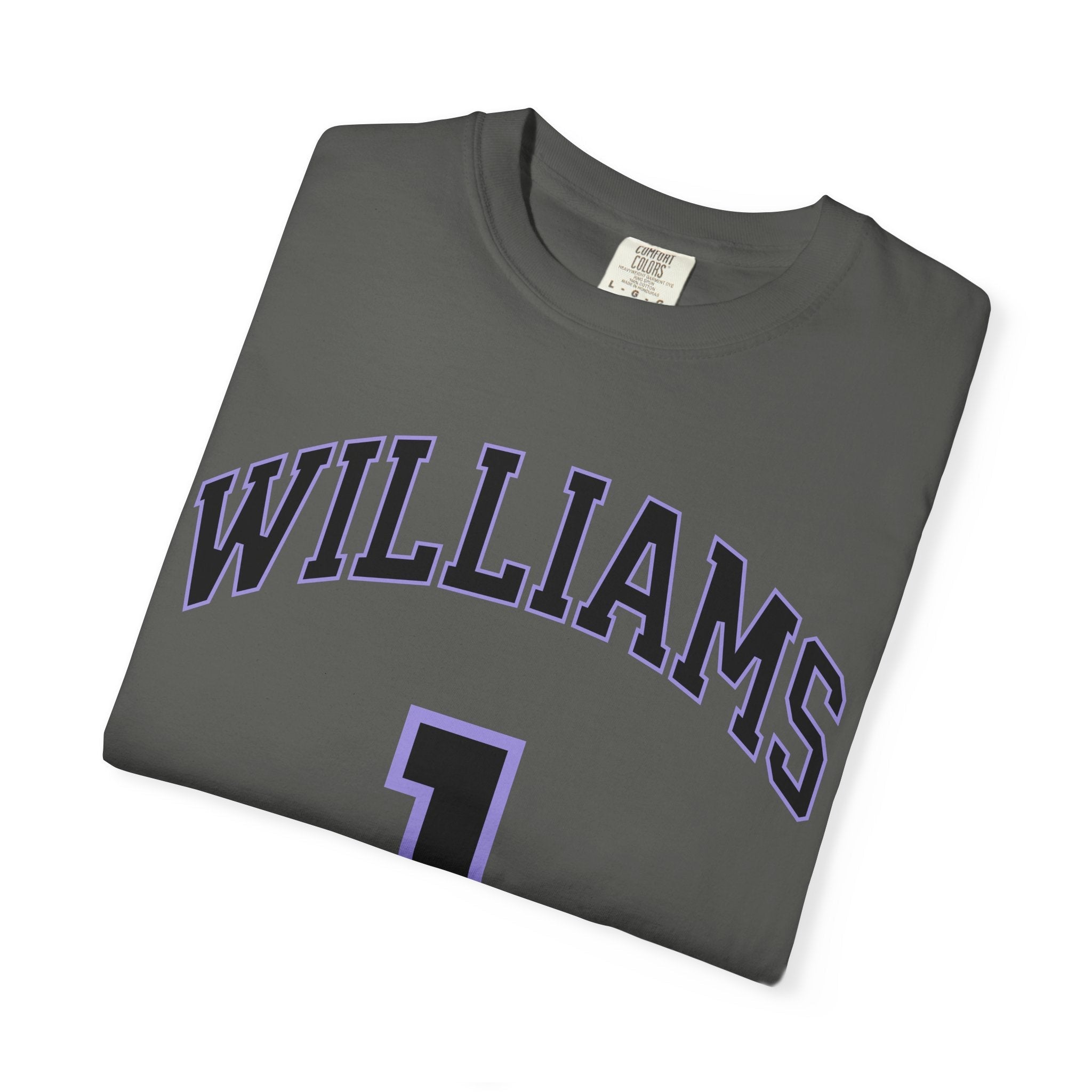 Gabby Williams Valkyries Premium Unisex Shirt | Chix Sports