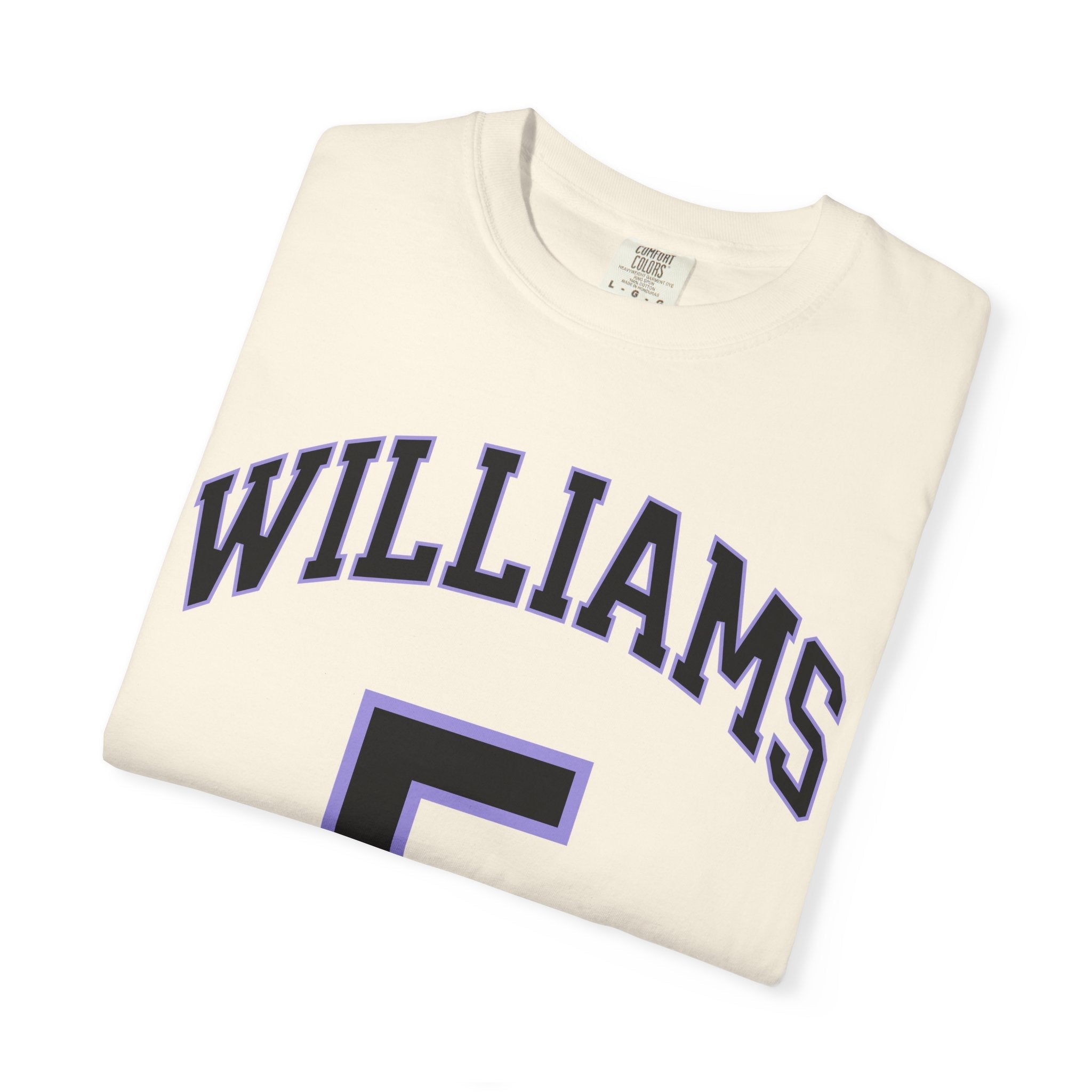 Gabby Williams Valkyries Premium Unisex Shirt | Chix Sports