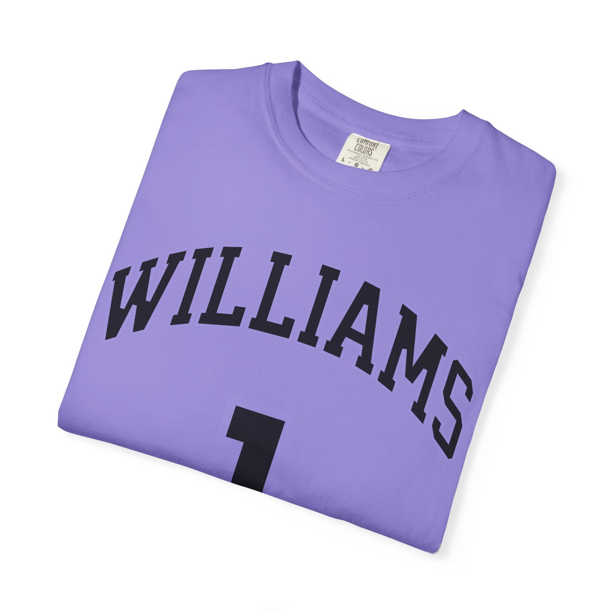 Gabby Williams Valkyries Premium Unisex Shirt | Chix Sports