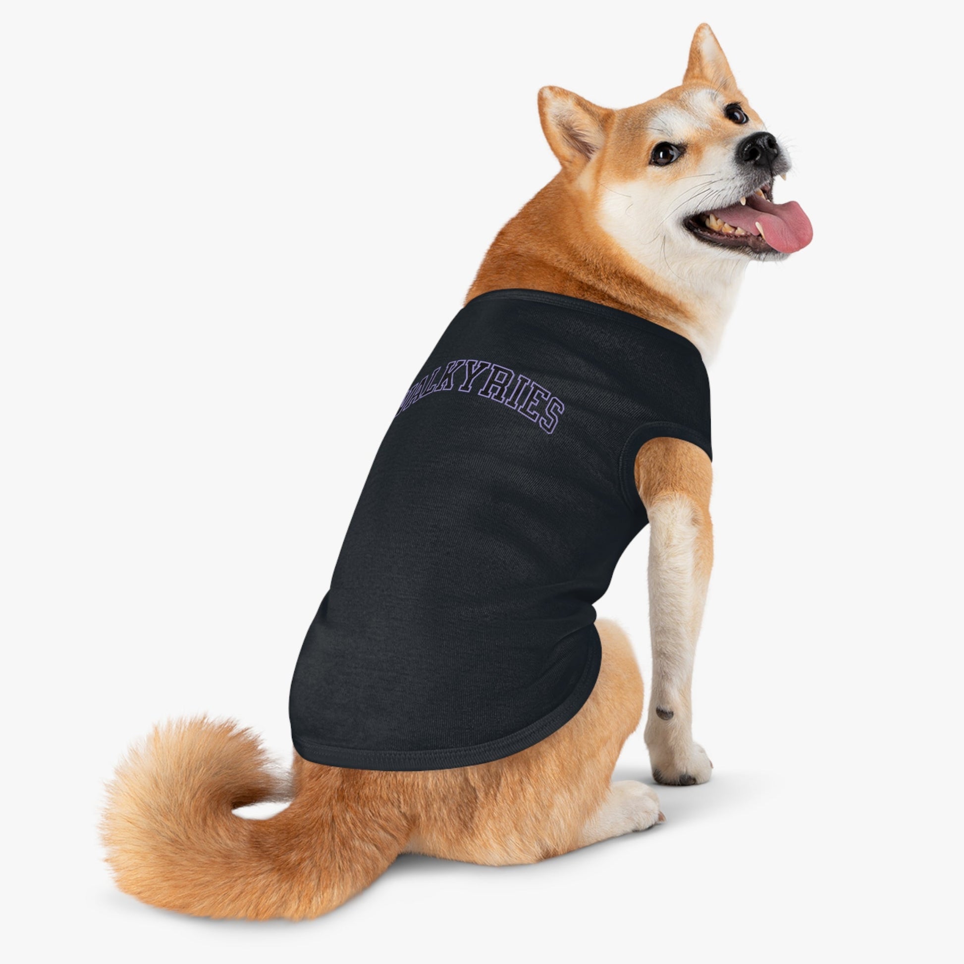 Golden State Valkyries Dog Sweater | Chix Sports