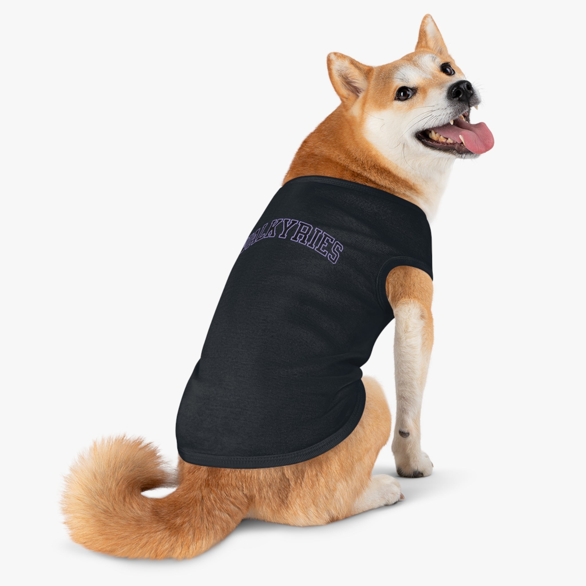 Golden State Valkyries Dog Sweater | Chix Sports