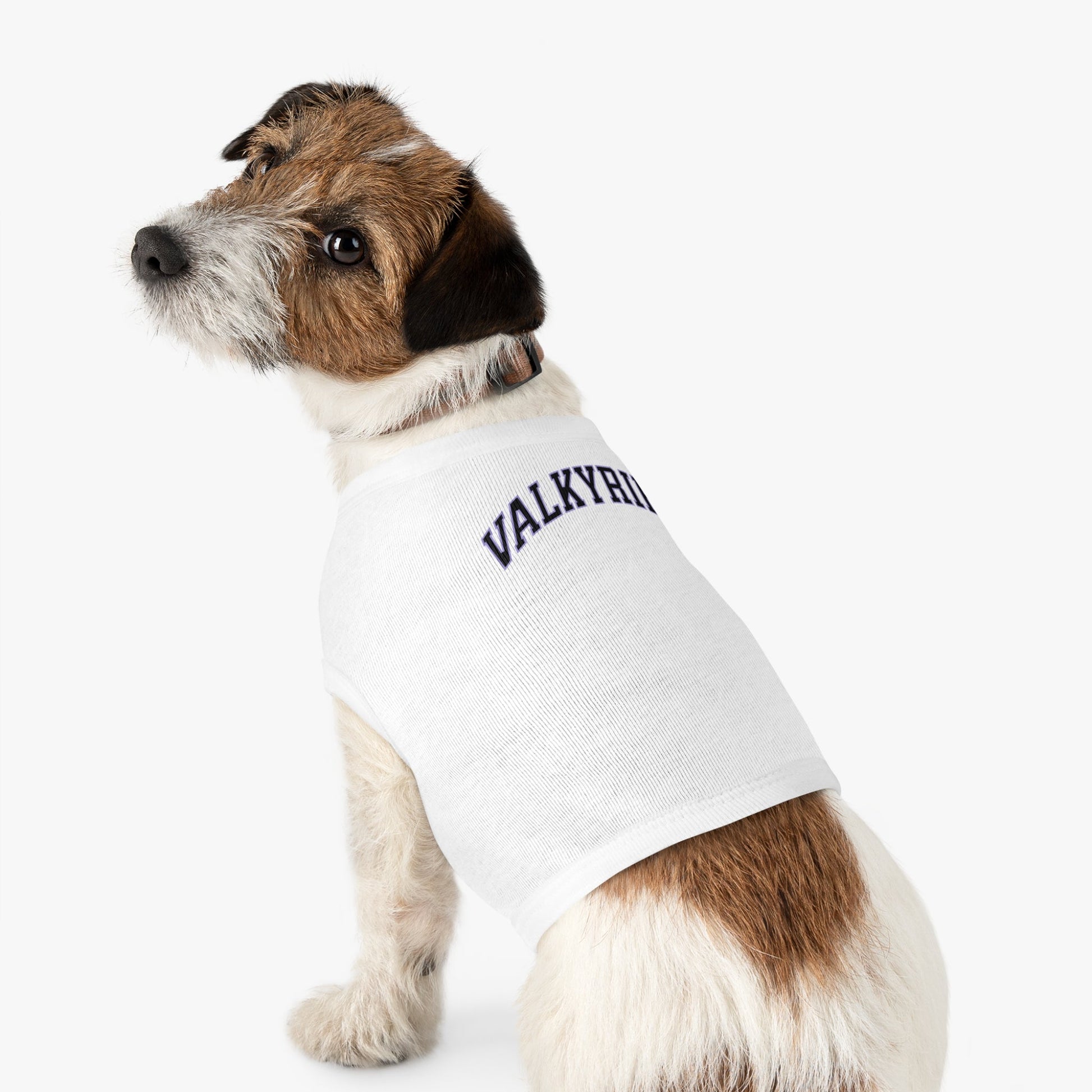 Golden State Valkyries Dog Sweater | Chix Sports