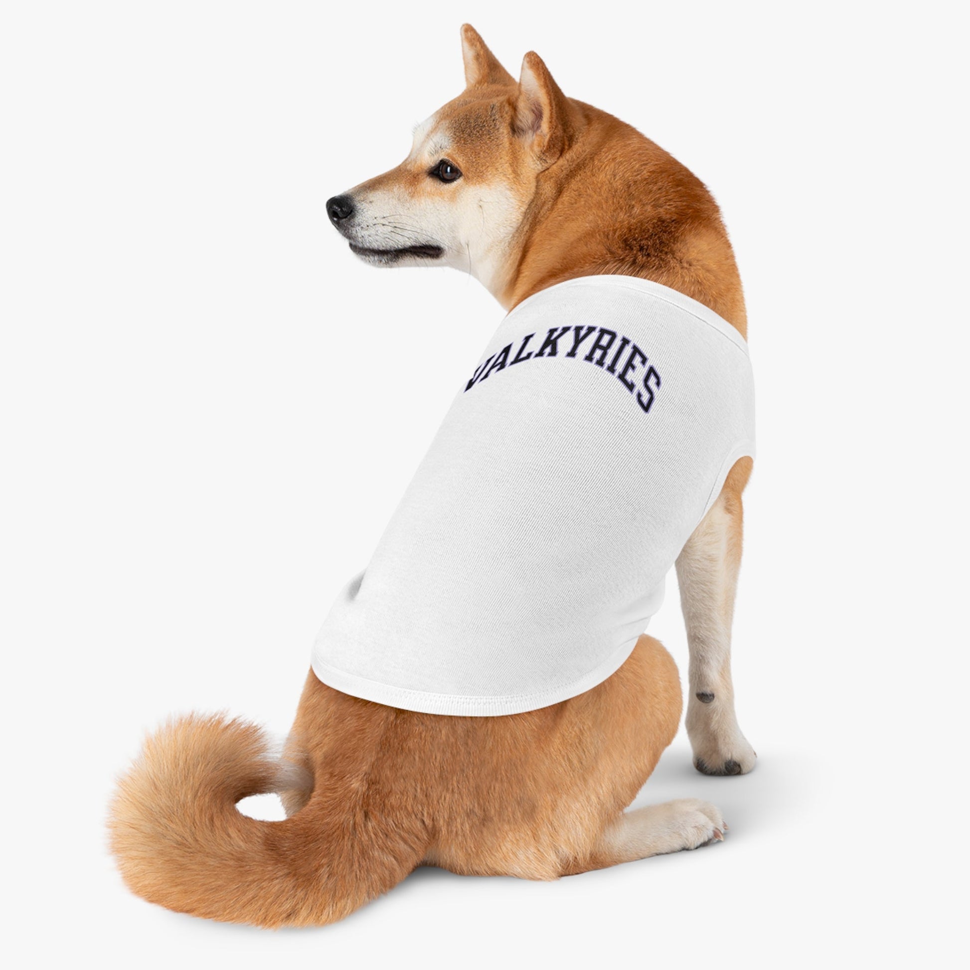 Golden State Valkyries Dog Sweater | Chix Sports