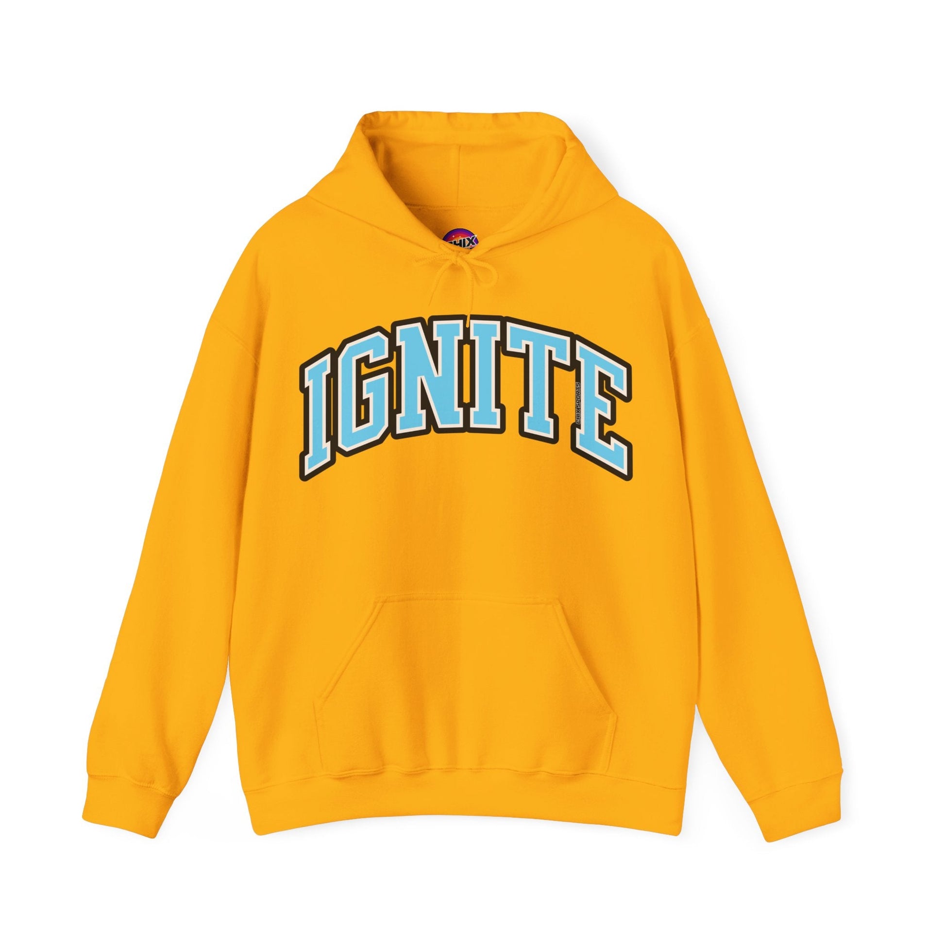 Ignite Volleyball Unisex Heavy Hoodie | Chix Sports