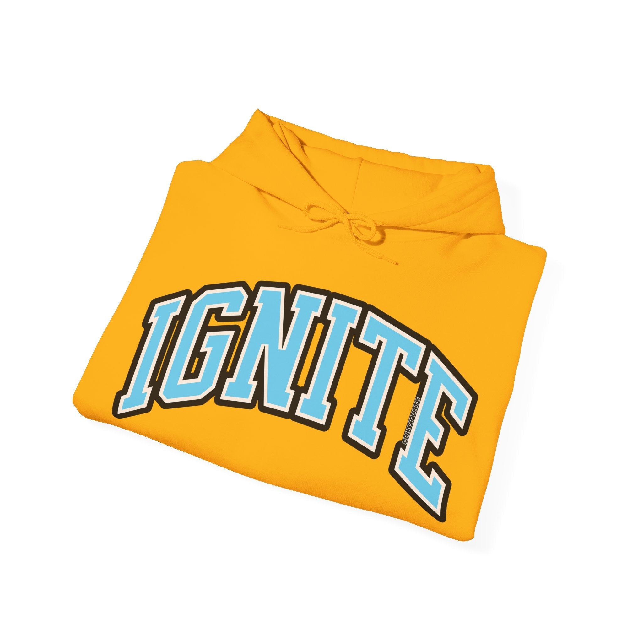 Ignite Volleyball Unisex Heavy Hoodie | Chix Sports