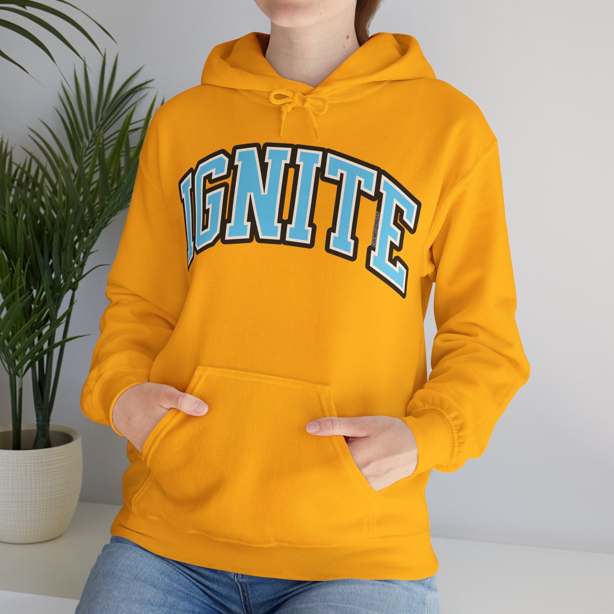 Ignite Volleyball Unisex Heavy Hoodie | Chix Sports