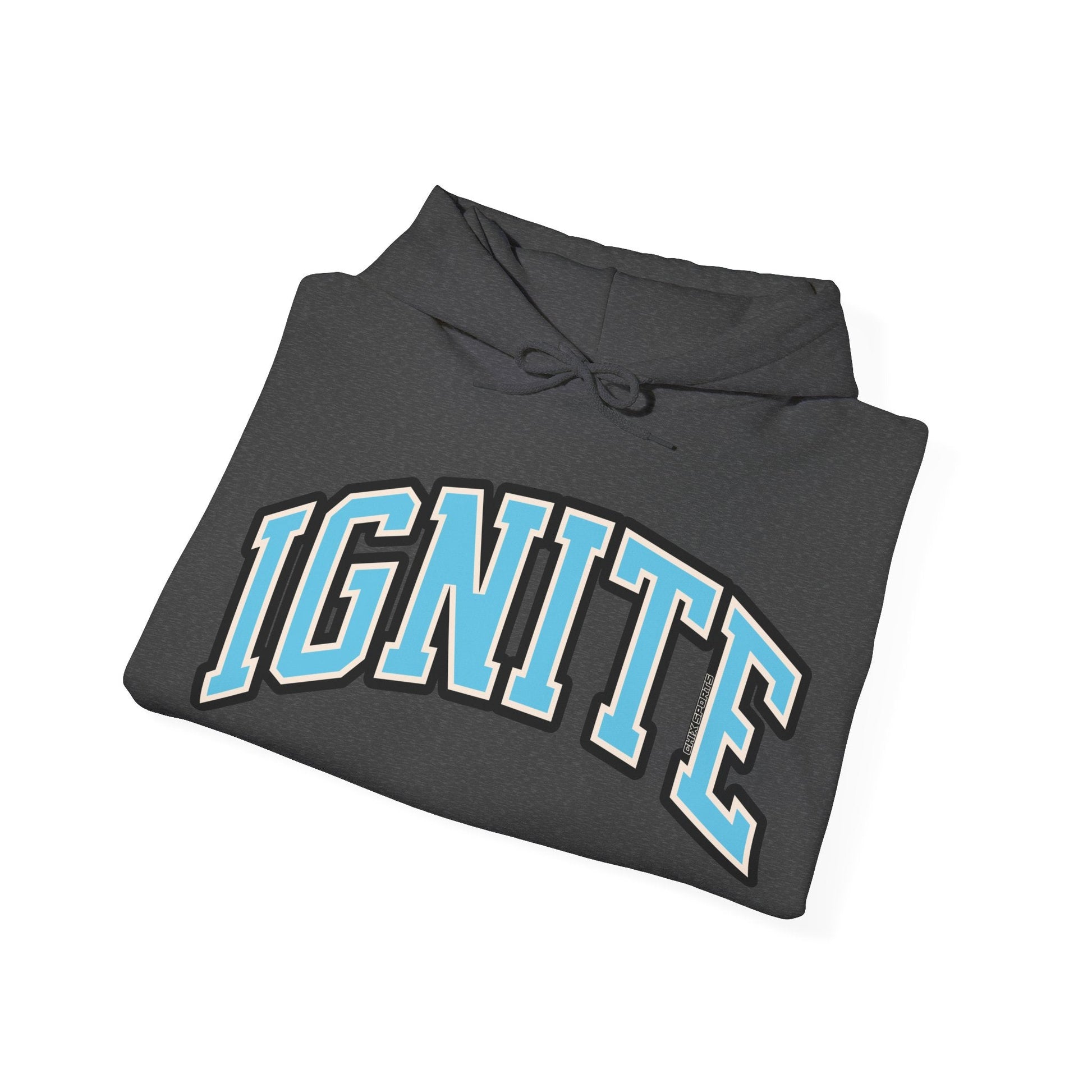 Ignite Volleyball Unisex Heavy Hoodie | Chix Sports