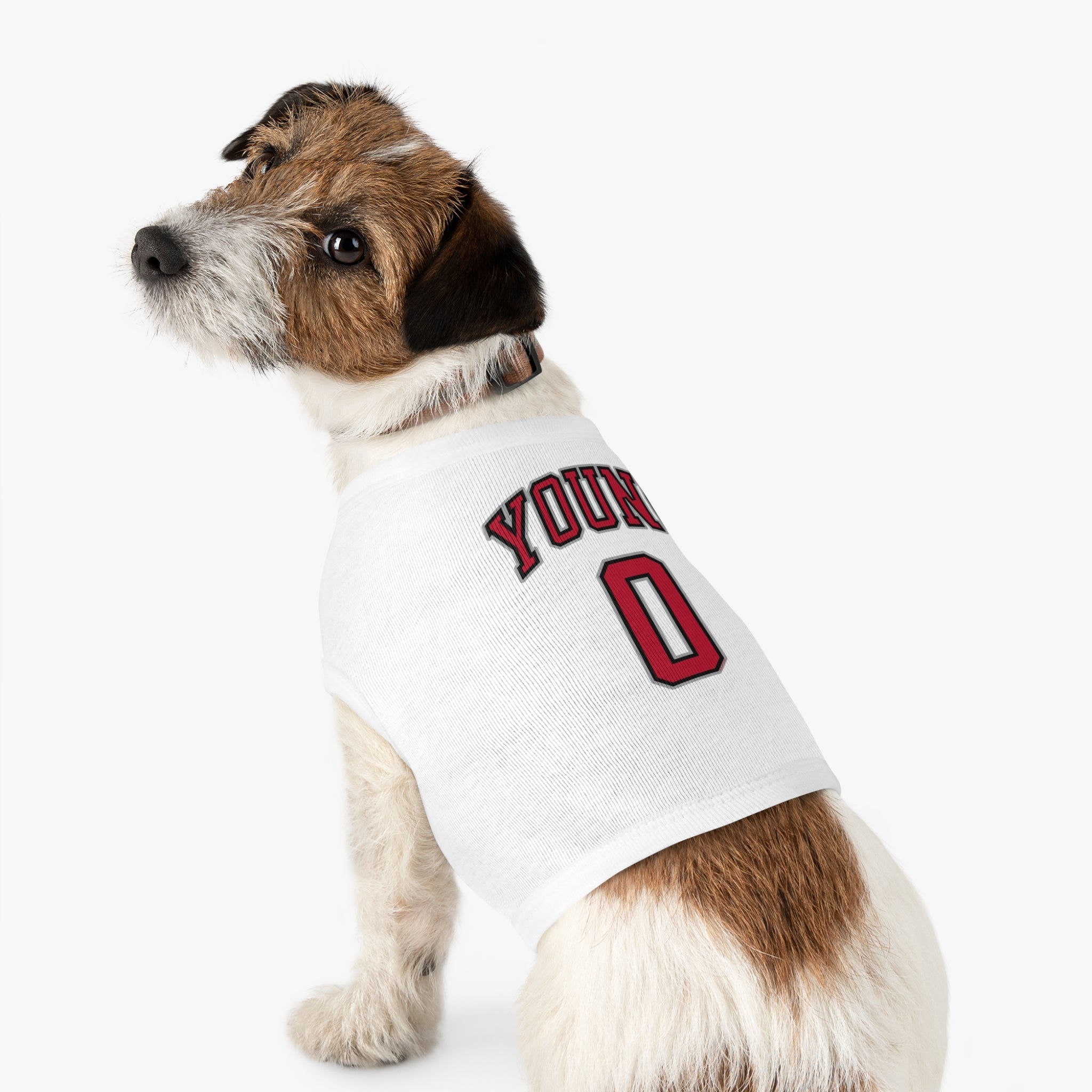 Jackie Young Aces Dog Sweater | Chix Sports