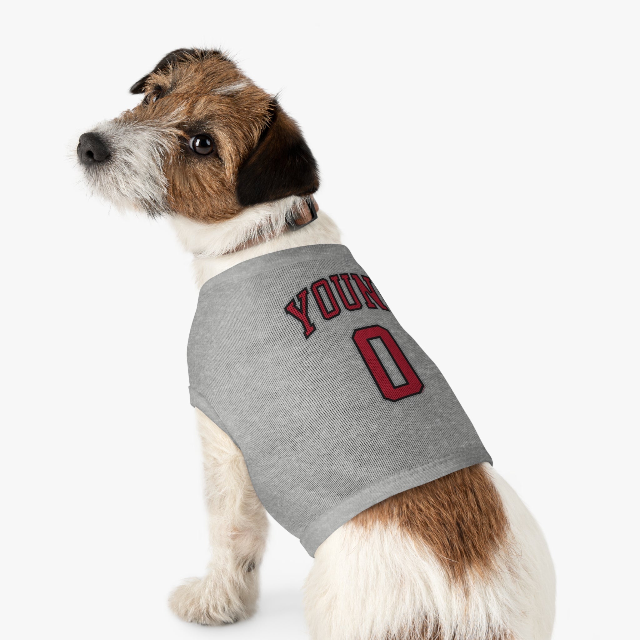 Jackie Young Aces Dog Sweater | Chix Sports