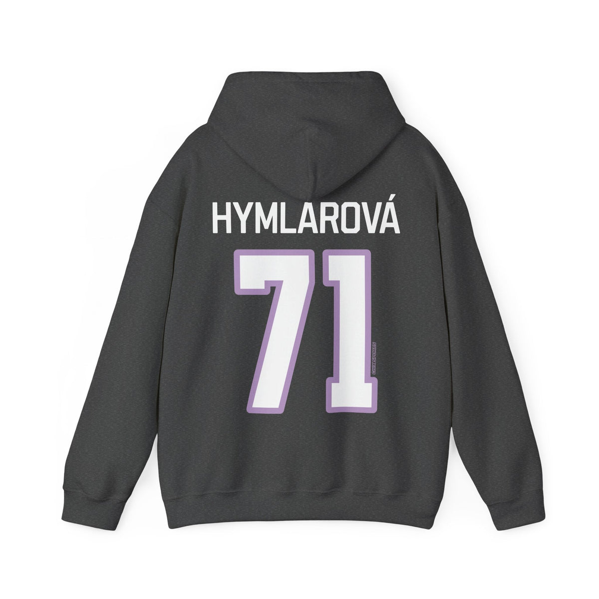 Klara Hymlarova Frost Unisex Hoodie in Dark Heather | Chix Sports