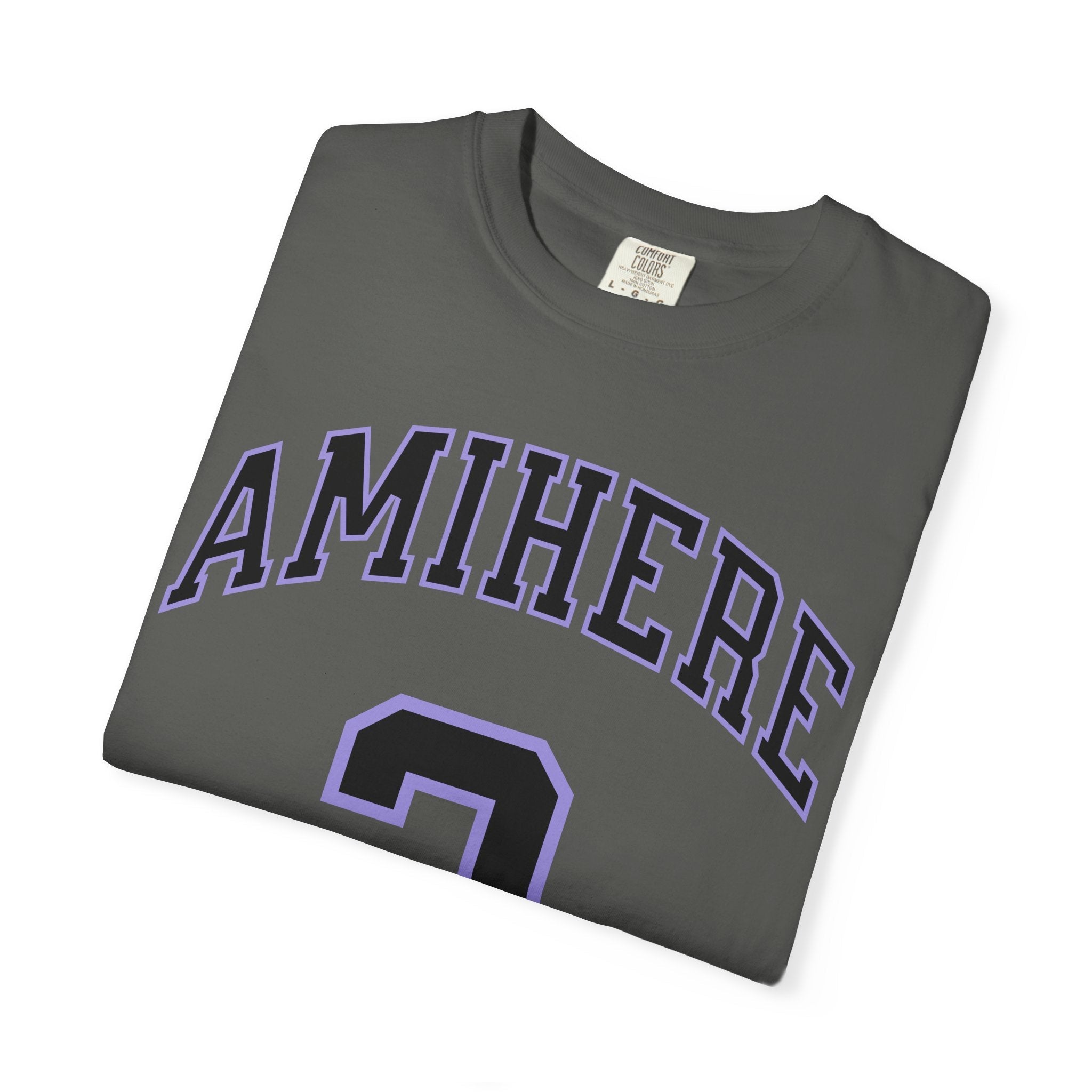 Laeticia Amihere Valkyries Premium Unisex Shirt | Chix Sports