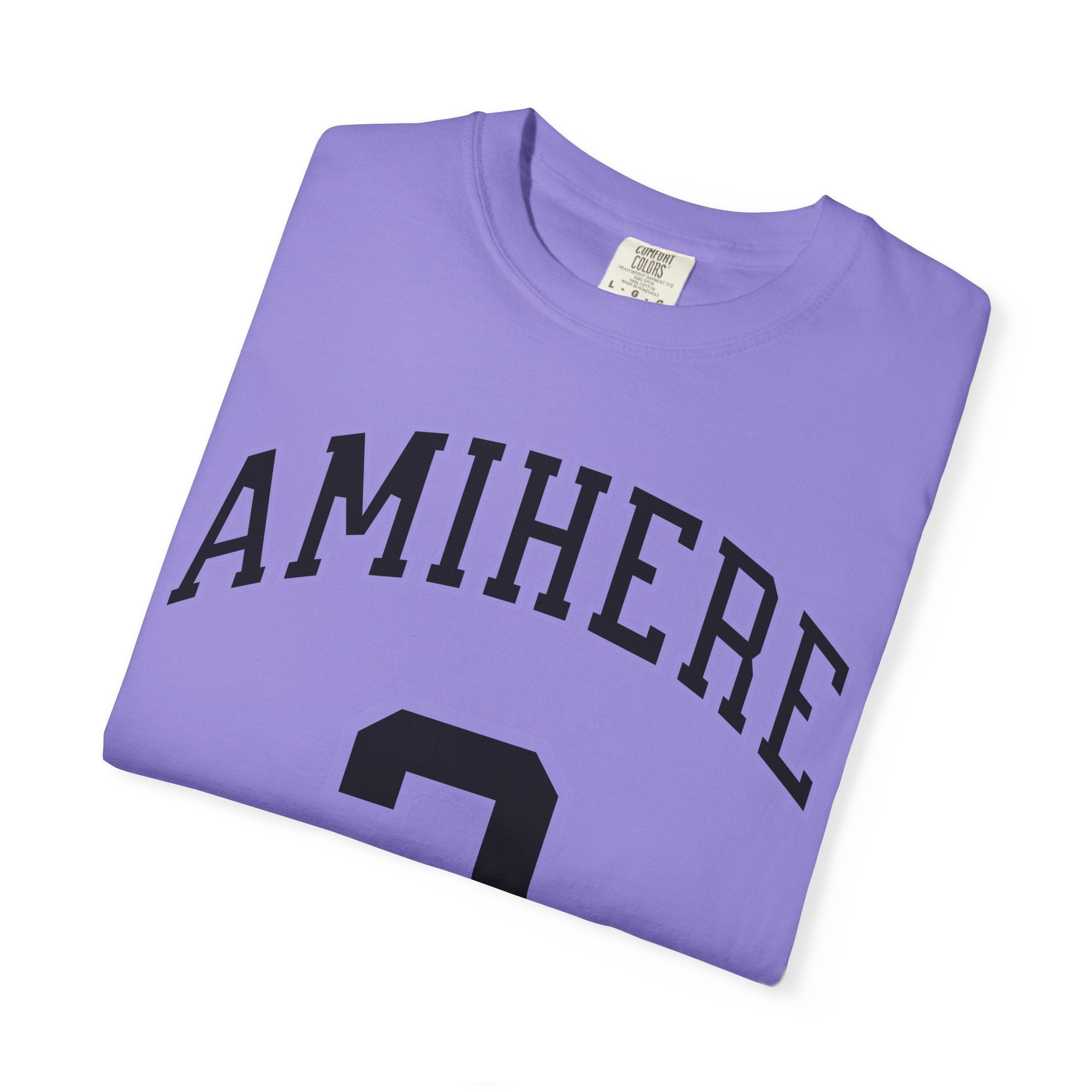 Laeticia Amihere Valkyries Premium Unisex Shirt | Chix Sports