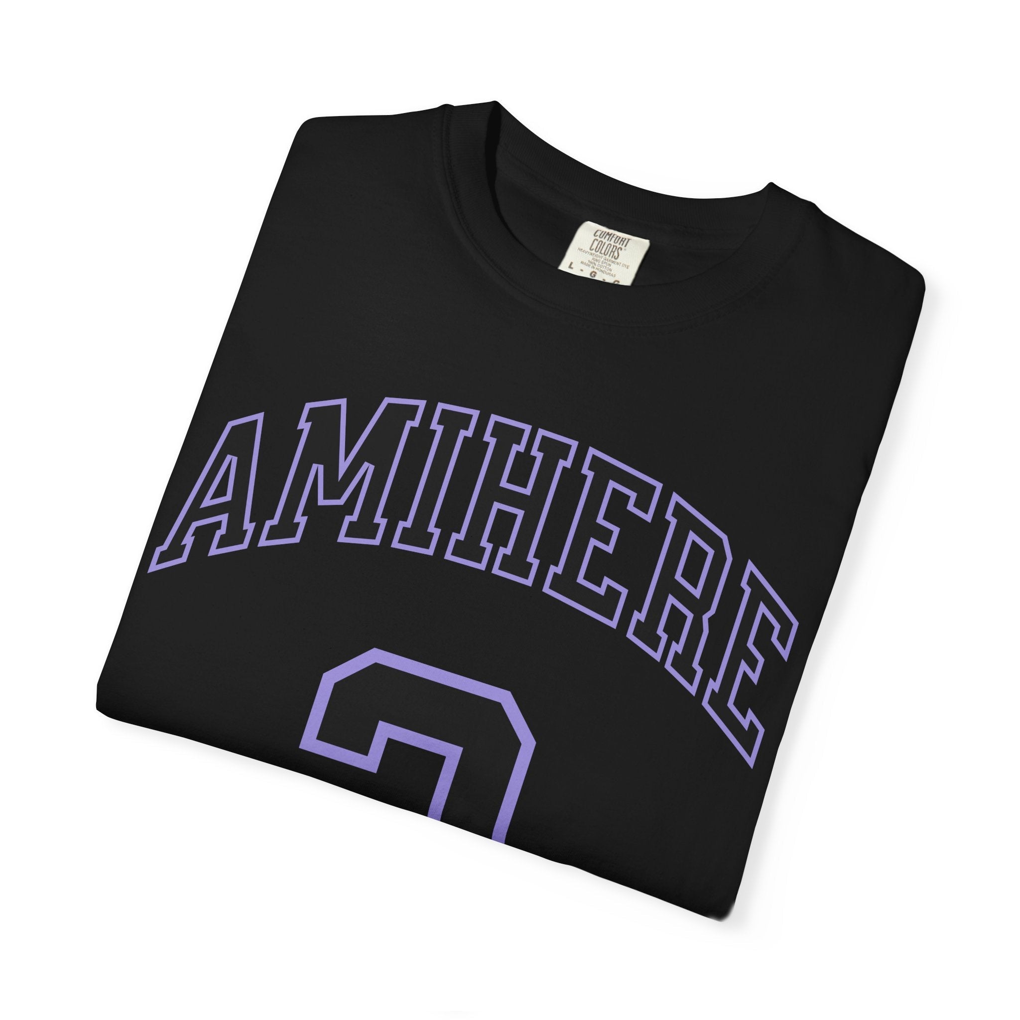 Laeticia Amihere Valkyries Premium Unisex Shirt | Chix Sports