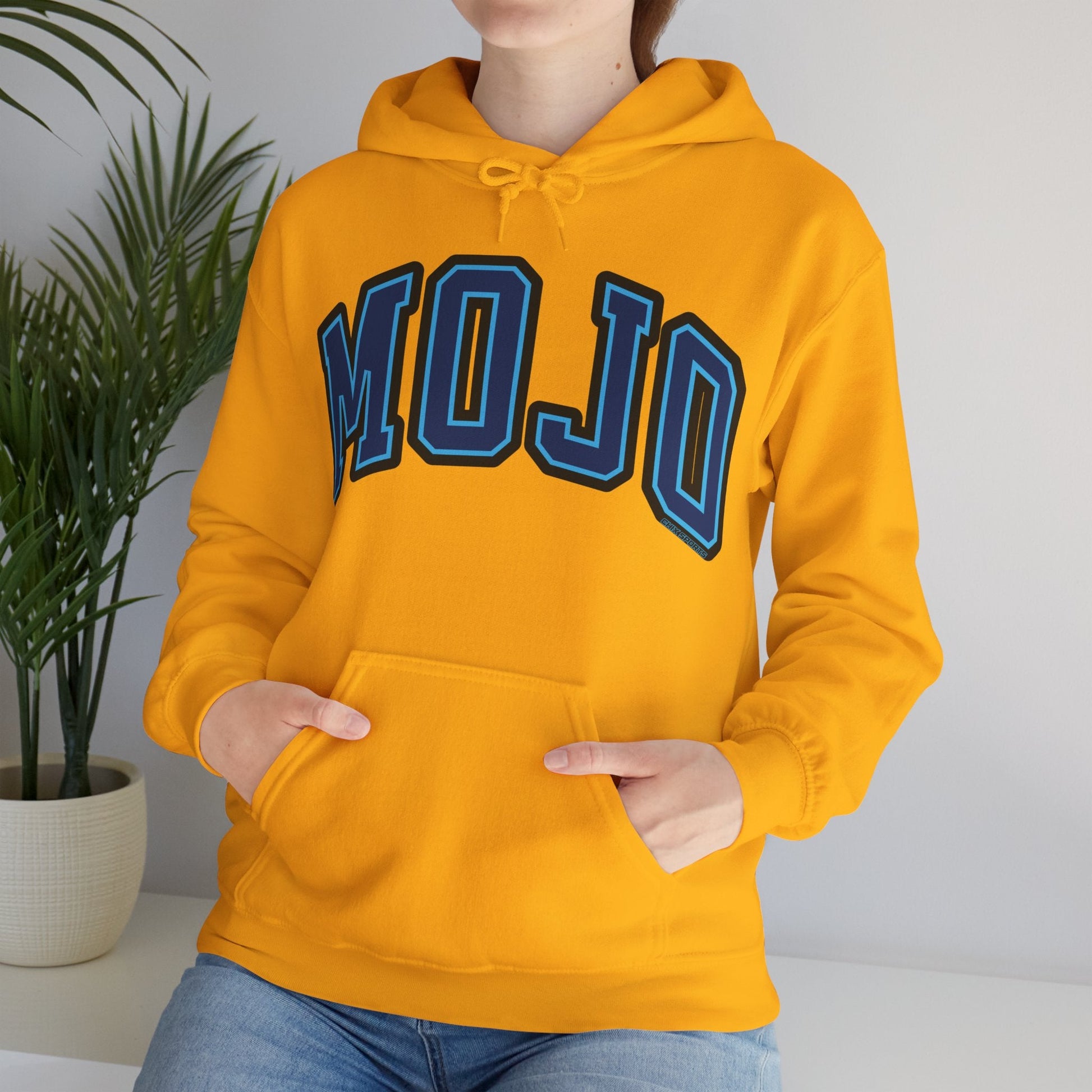 Mojo Volleyball Unisex Heavy Hoodie | Chix Sports