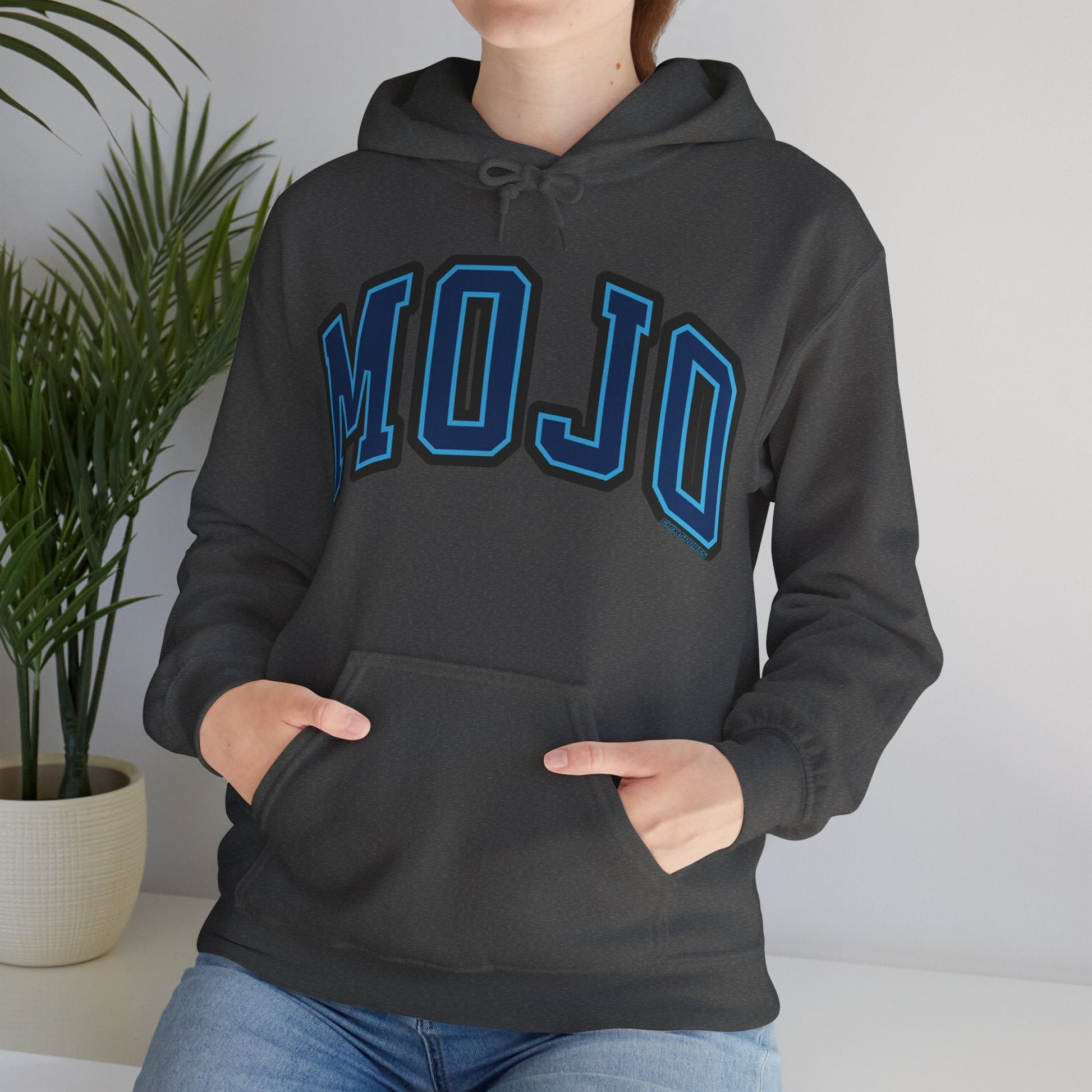 Mojo Volleyball Unisex Heavy Hoodie | Chix Sports