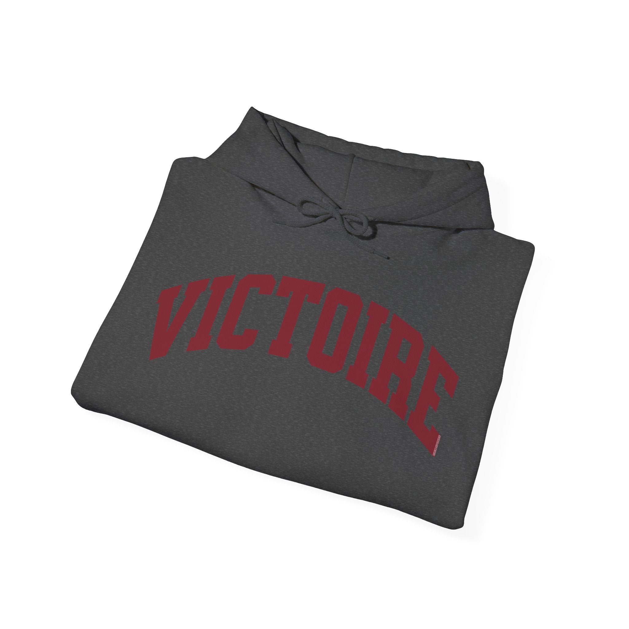 Montreal Victoire Hockey Unisex Heavy Hoodie | Chix Sports