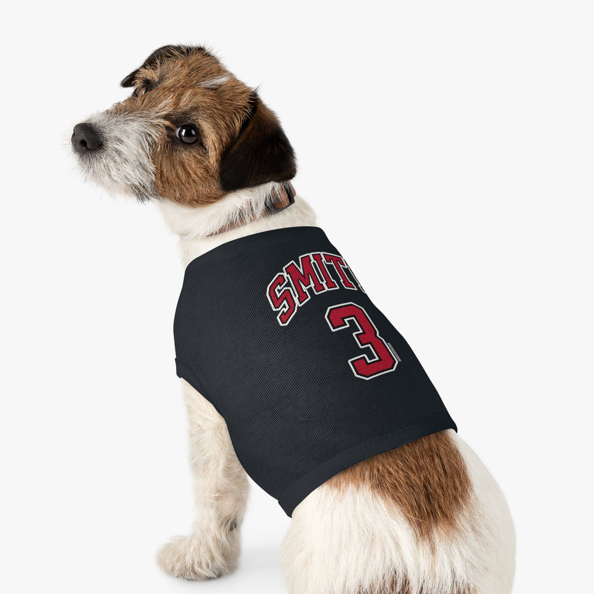 NaLyssa Smith Aces Pet Sweater in L | Chix Sports