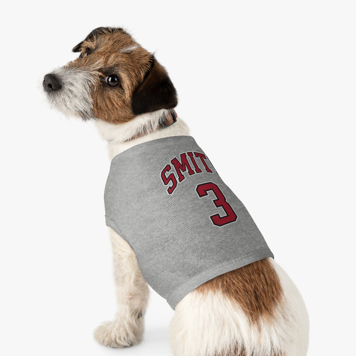 NaLyssa Smith Aces Pet Sweater in L | Chix Sports