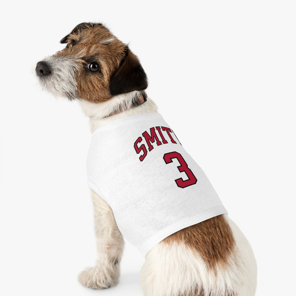 NaLyssa Smith Aces Pet Sweater in L | Chix Sports
