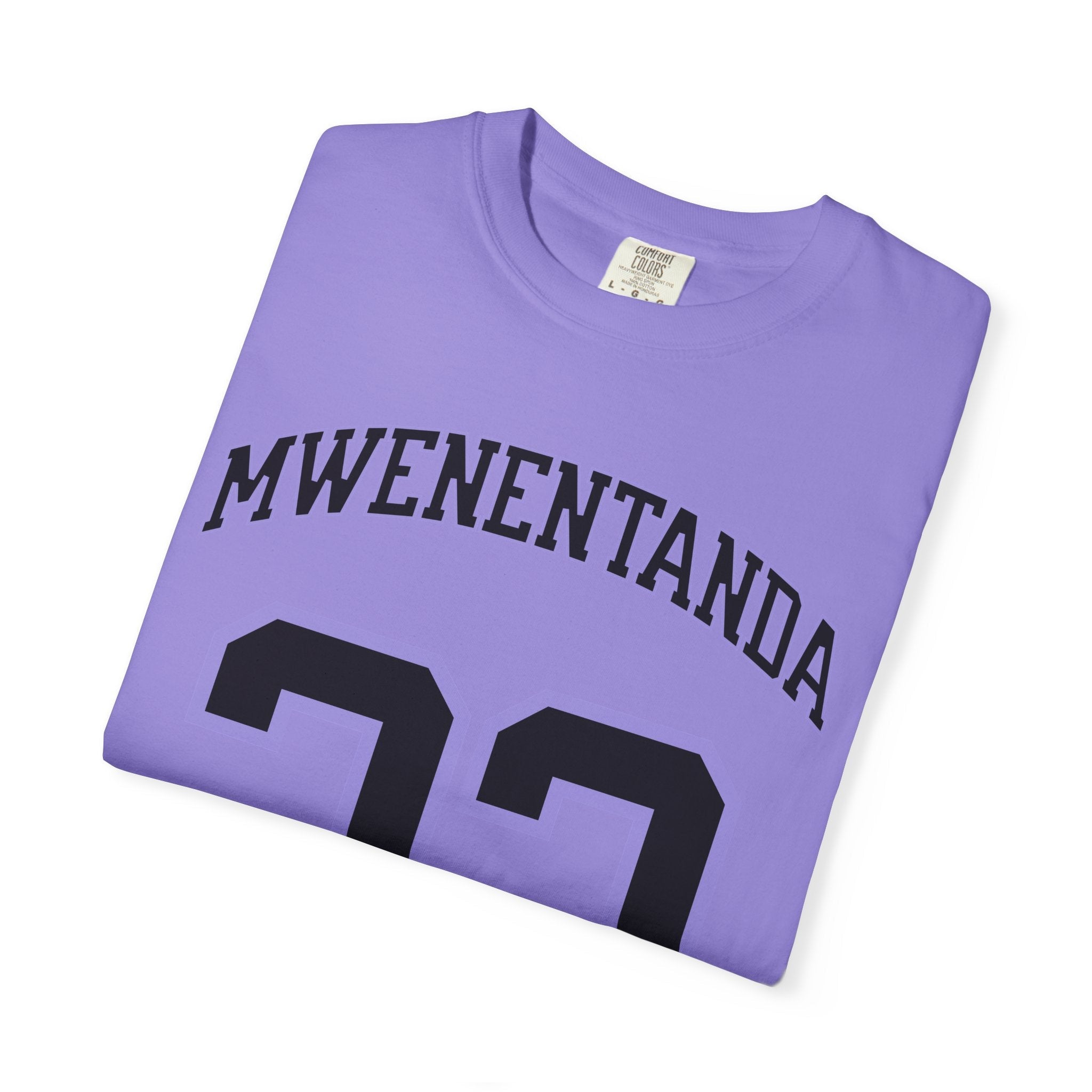 Ndjakalenga Mwenentanda Valkyries Premium Shirt | Chix Sports