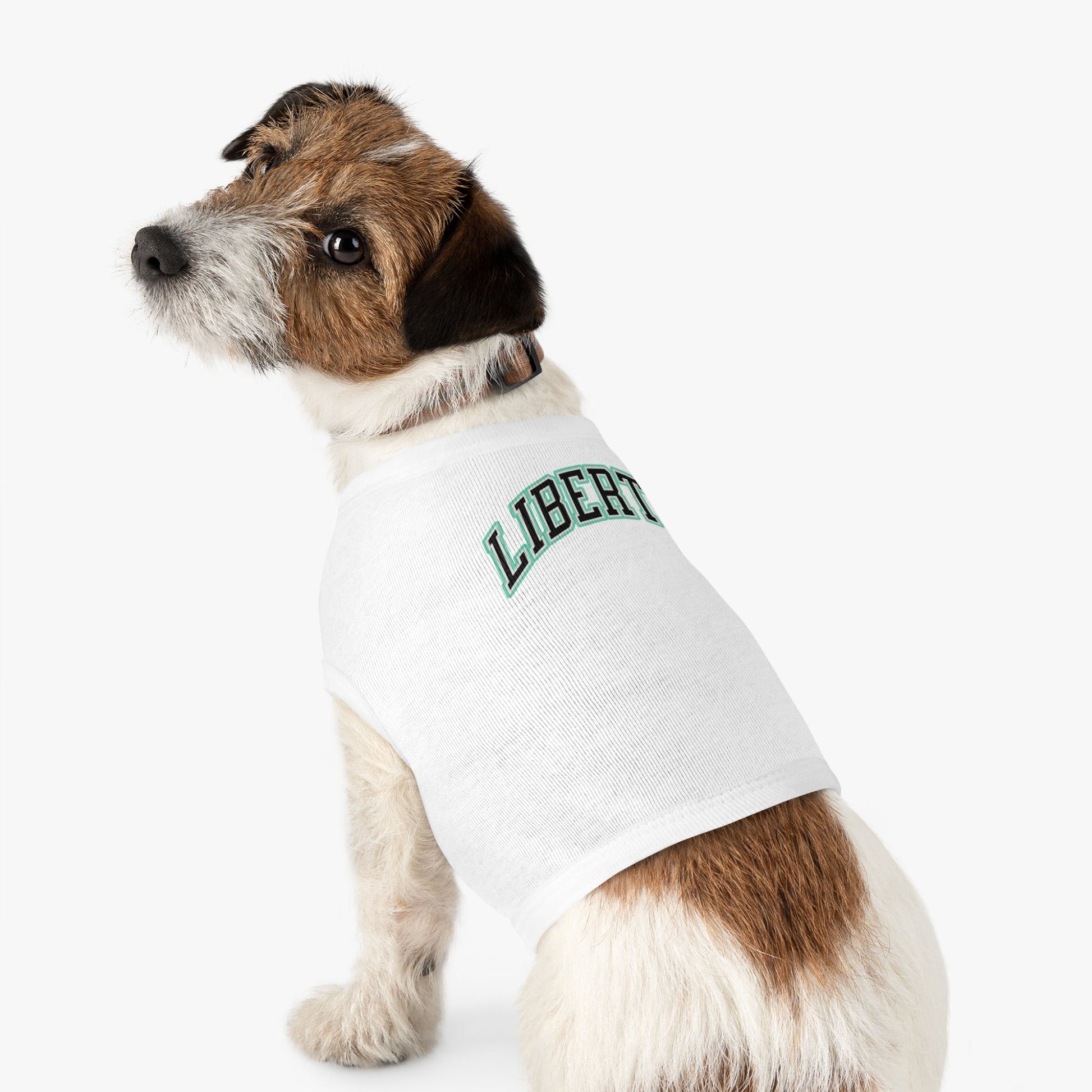 New York Liberty Dog Sweater | Chix Sports