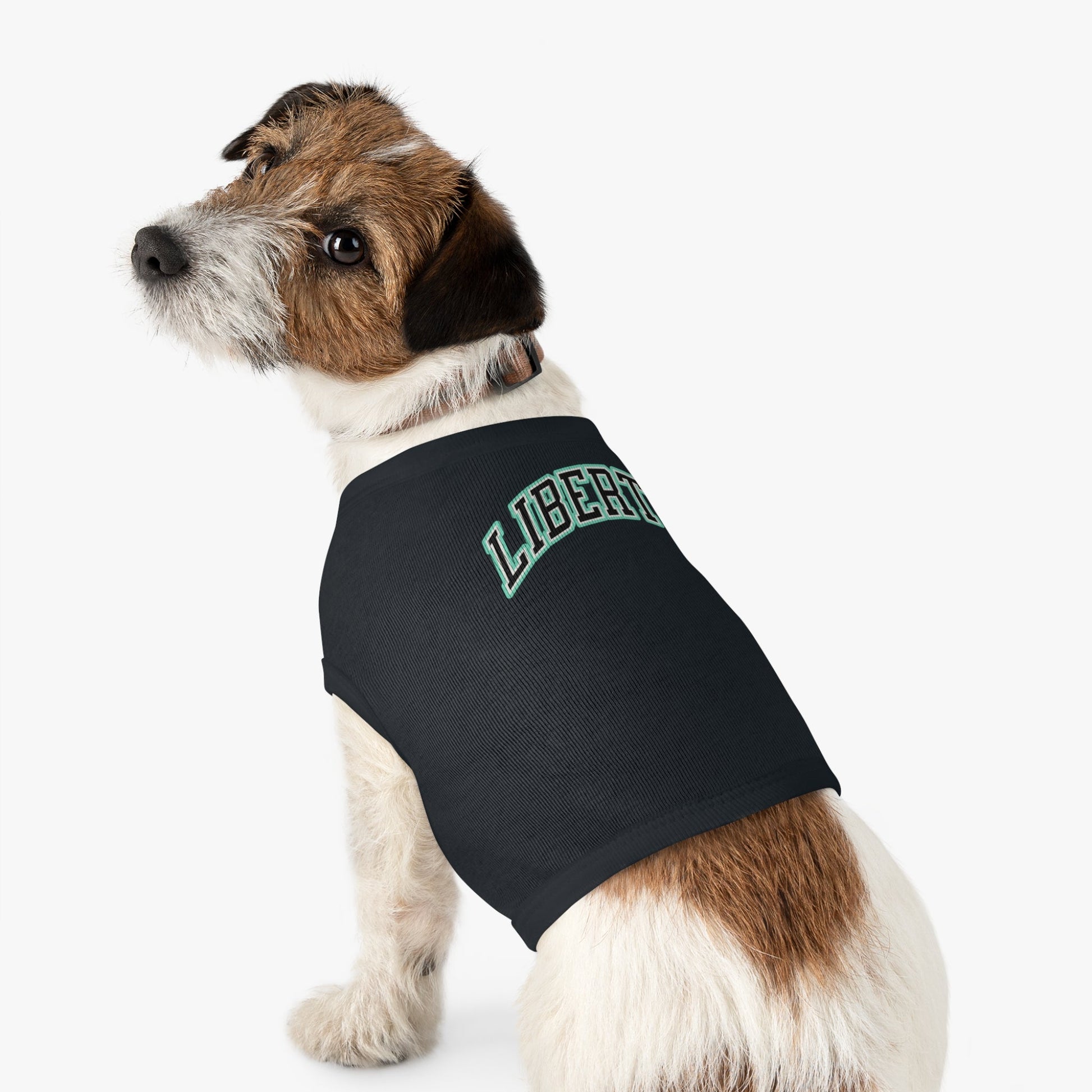 New York Liberty Dog Sweater | Chix Sports