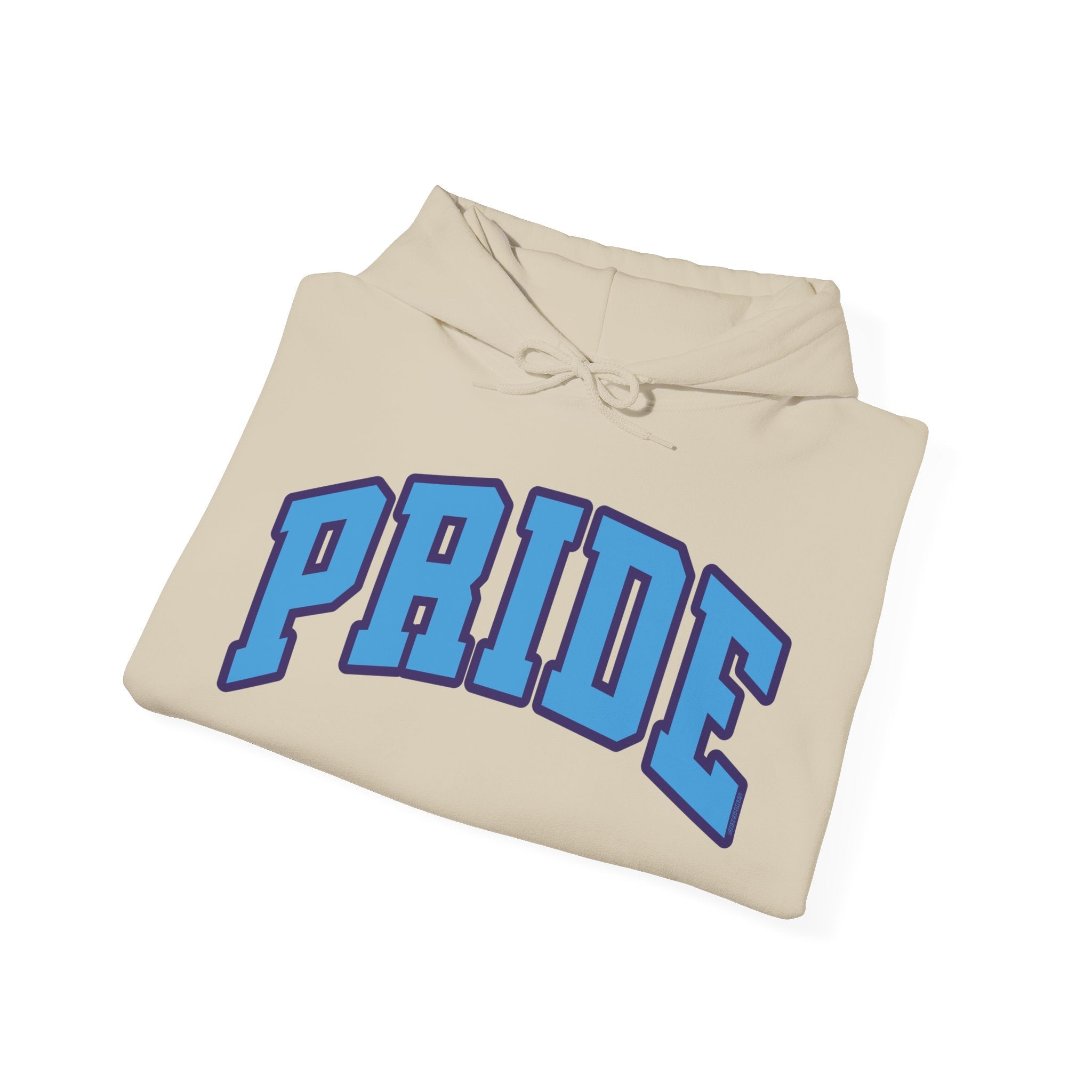 Orlando Pride Soccer Unisex Heavy Hoodie | Chix Sports