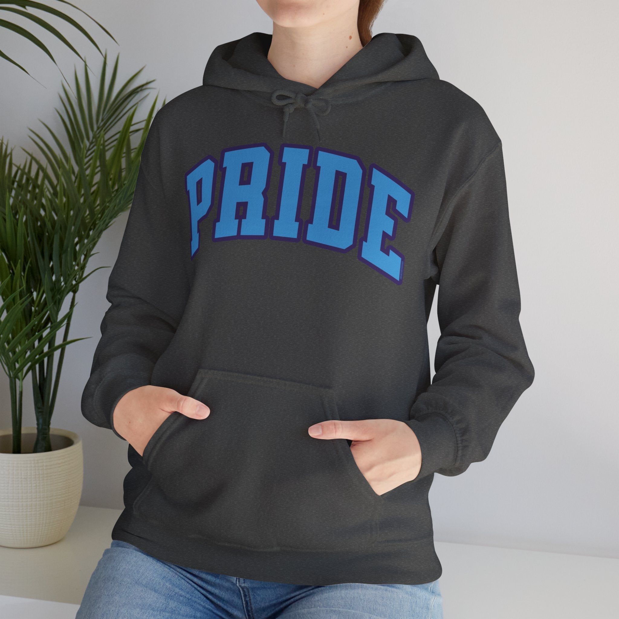 Orlando Pride Soccer Unisex Heavy Hoodie | Chix Sports
