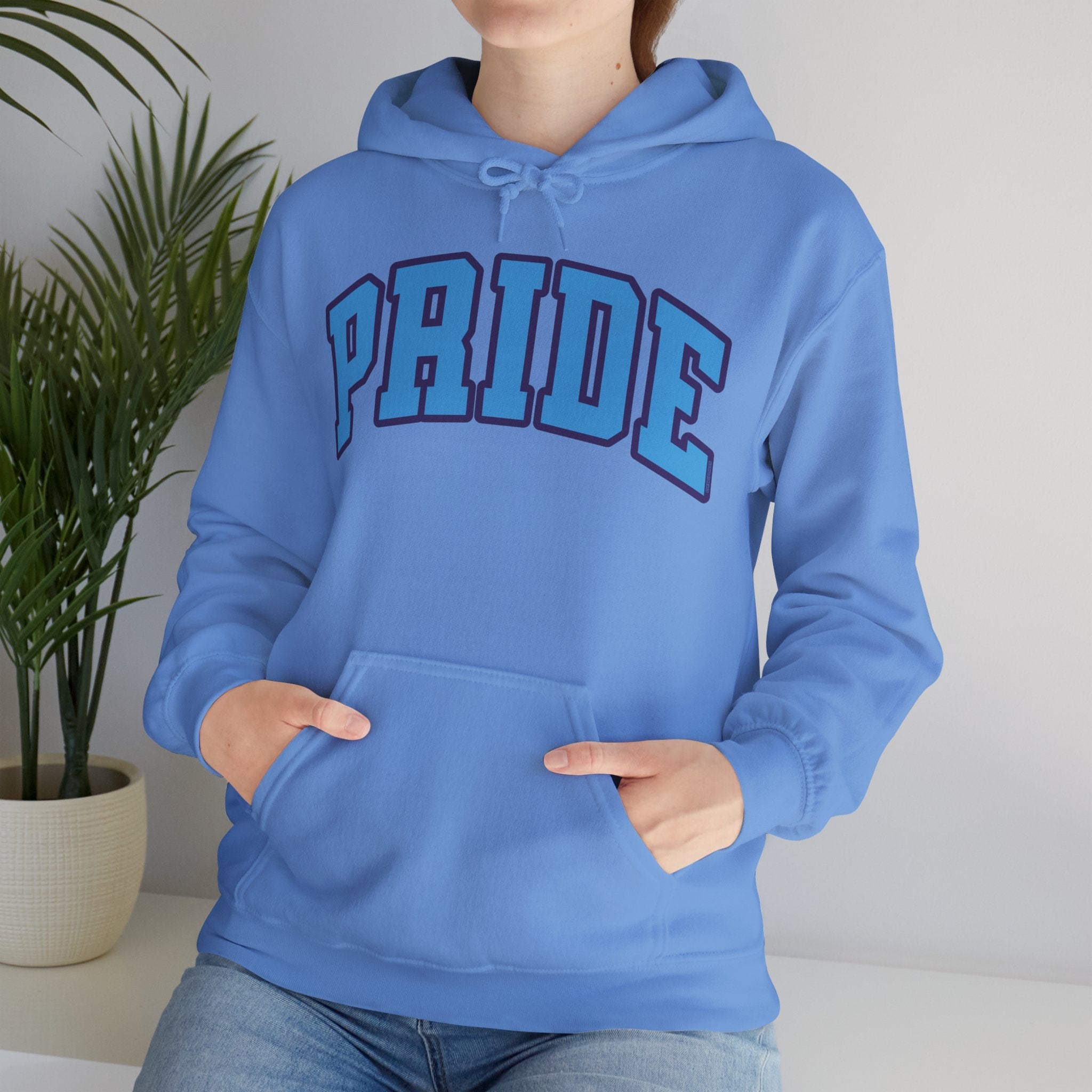 Orlando Pride Soccer Unisex Heavy Hoodie | Chix Sports