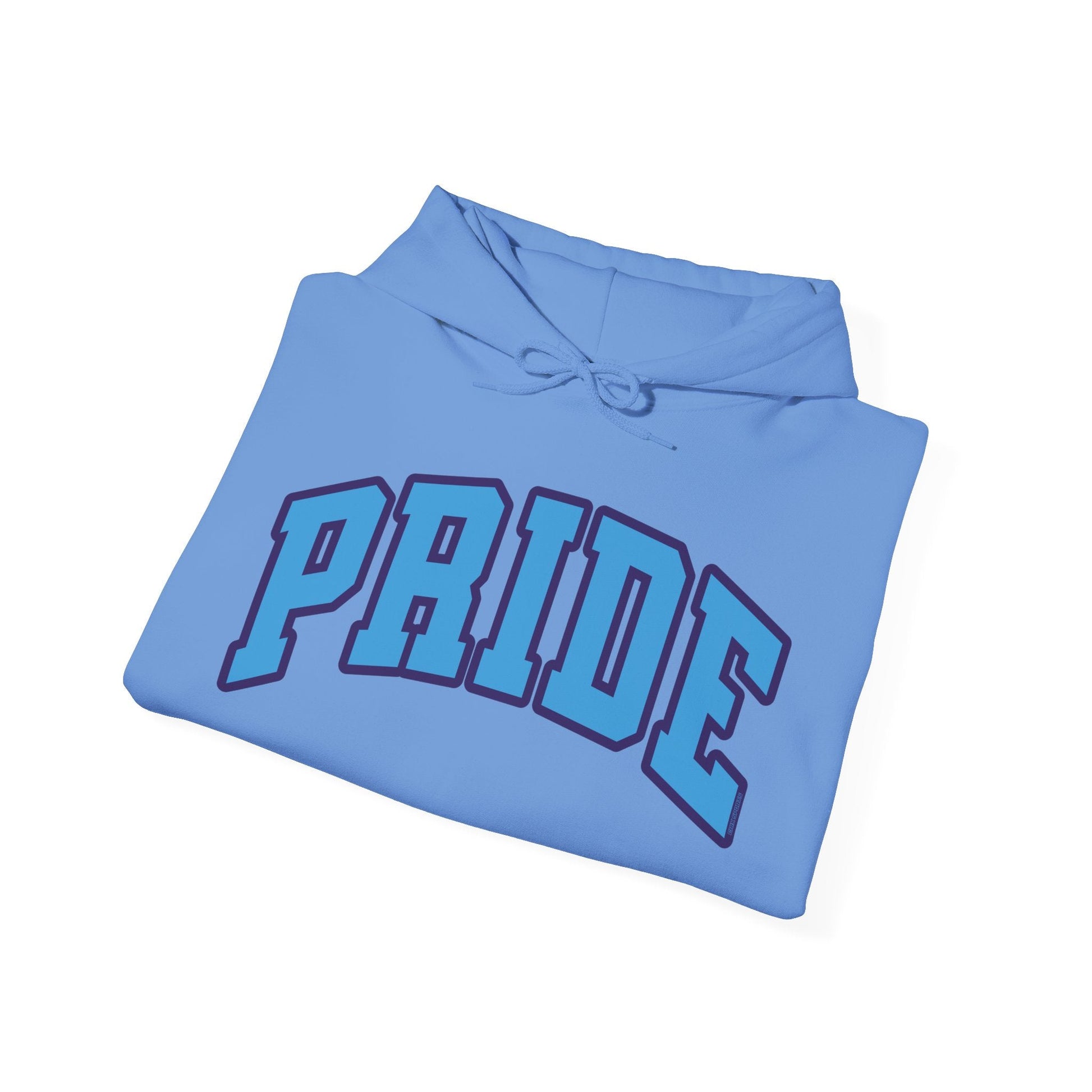 Orlando Pride Soccer Unisex Heavy Hoodie | Chix Sports