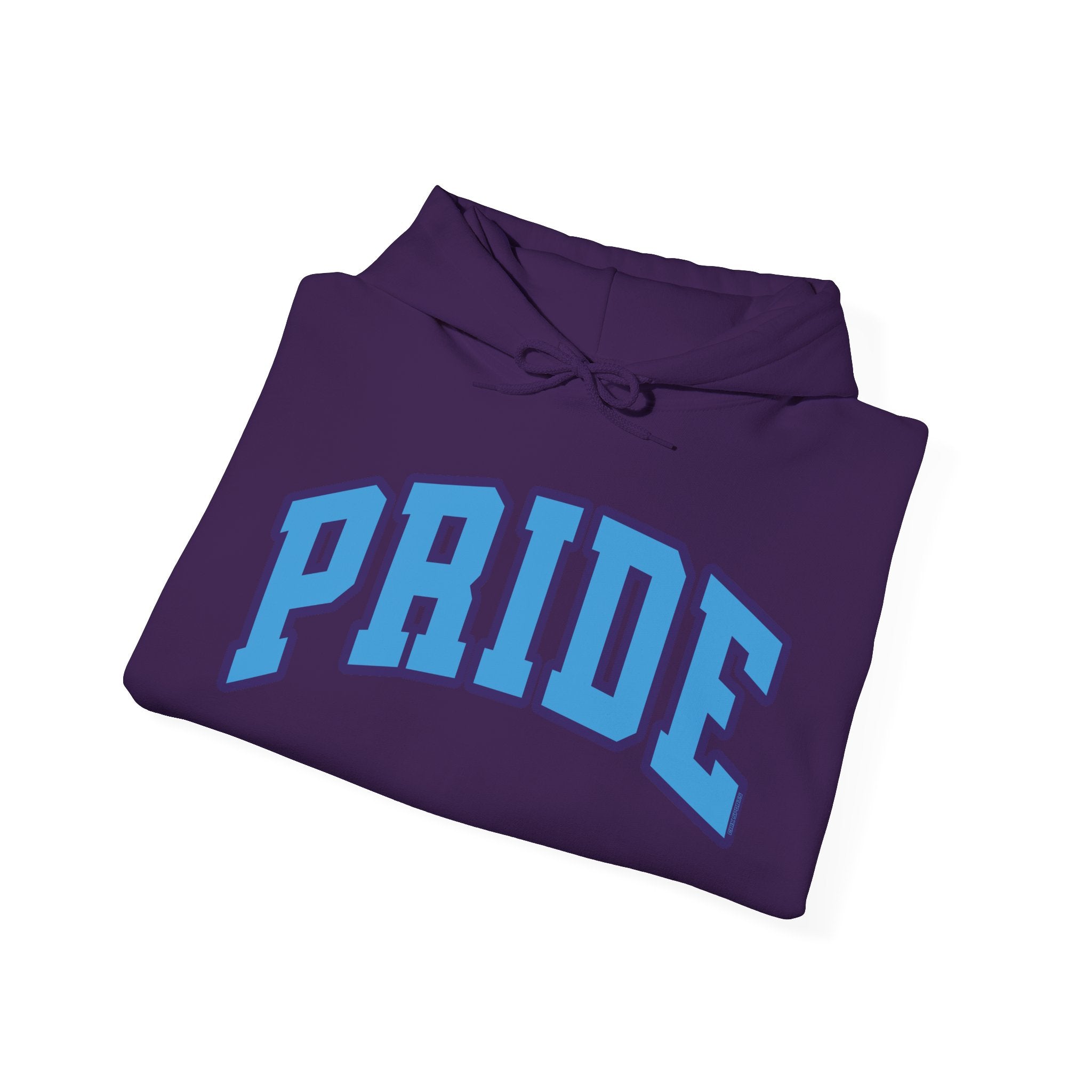 Orlando Pride Soccer Unisex Heavy Hoodie | Chix Sports
