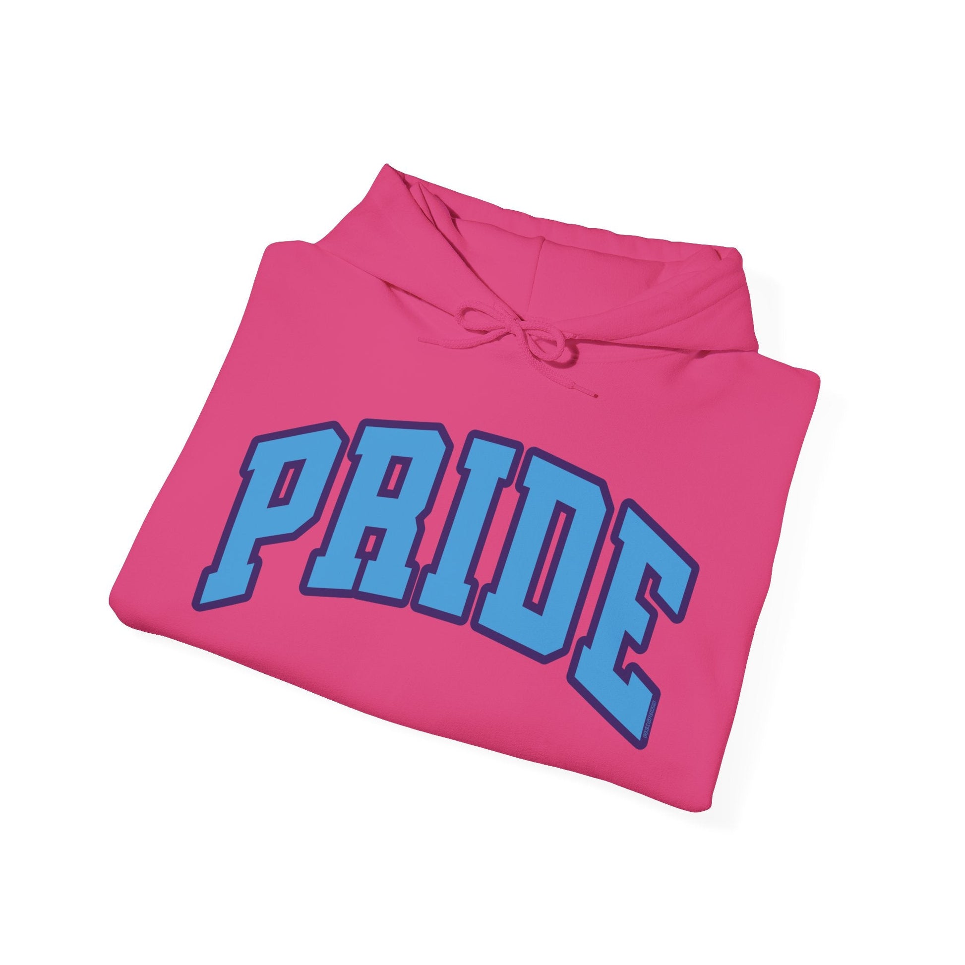 Orlando Pride Soccer Unisex Heavy Hoodie | Chix Sports