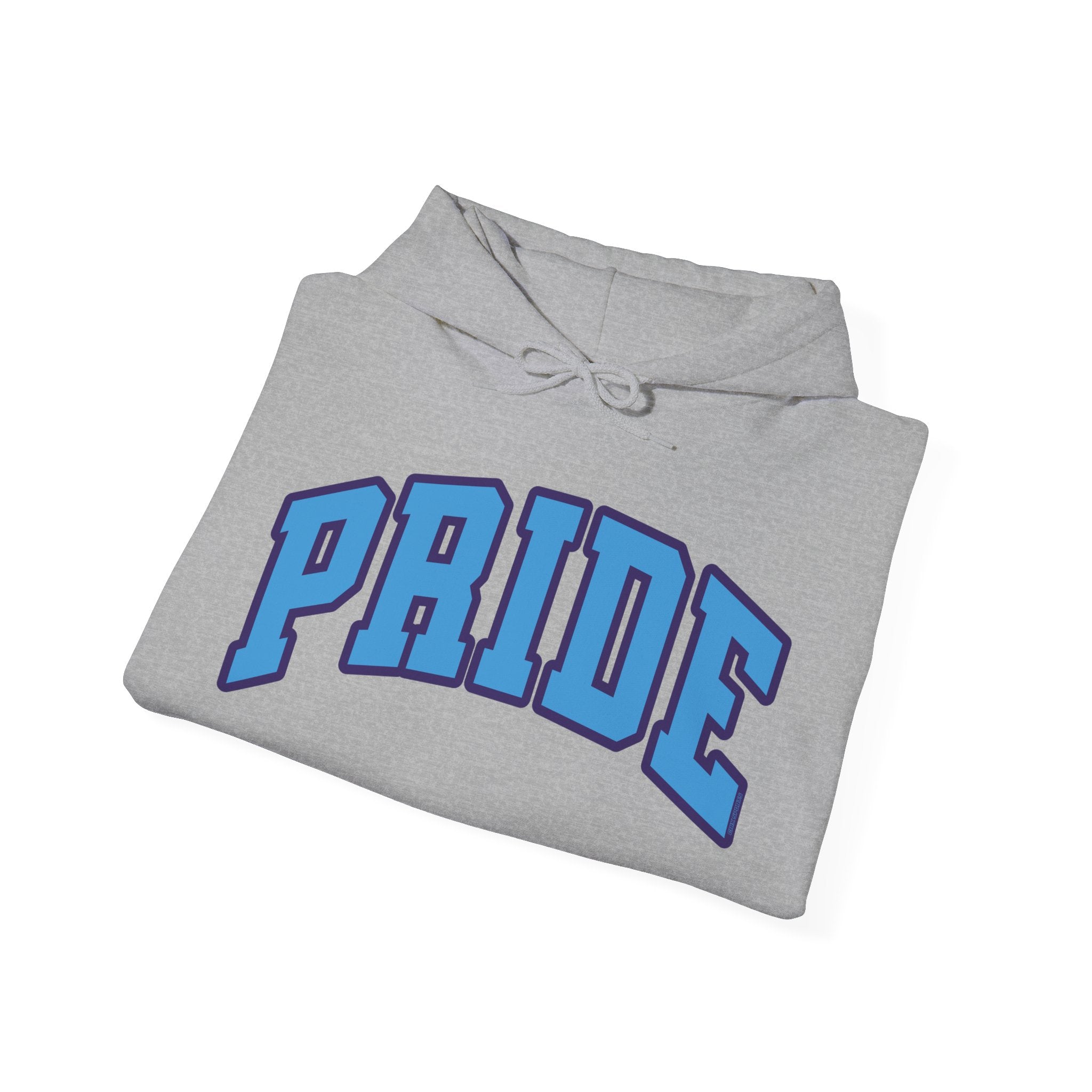 Orlando Pride Soccer Unisex Heavy Hoodie | Chix Sports