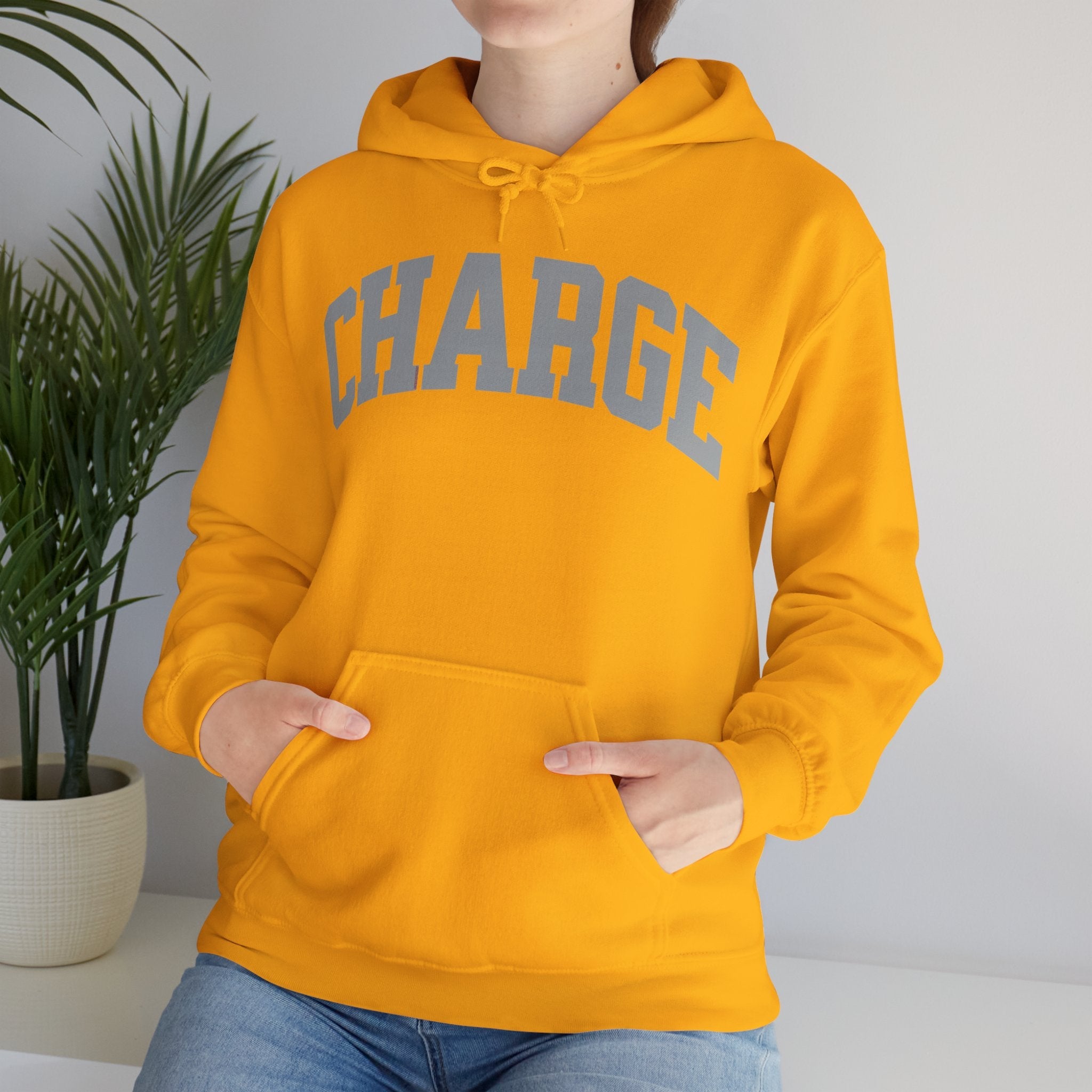 Ottawa Charge Hockey Unisex Heavy Hoodie | Chix Sports